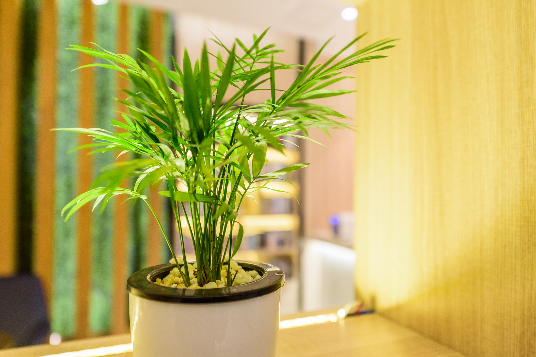 Mingyue Lake Hotel (Baise City Government Hengji Plaza) 3*