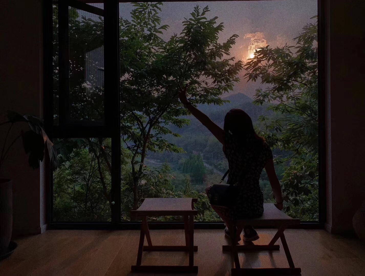 LOSTVILLA·Green Gable(Anji) 0*