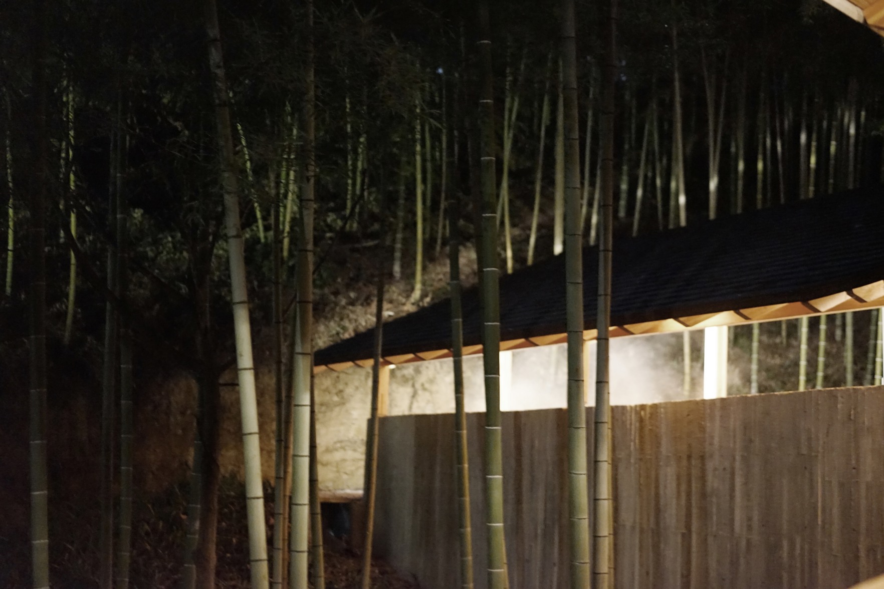 LOSTVILLA·Green Gable(Anji) 0*