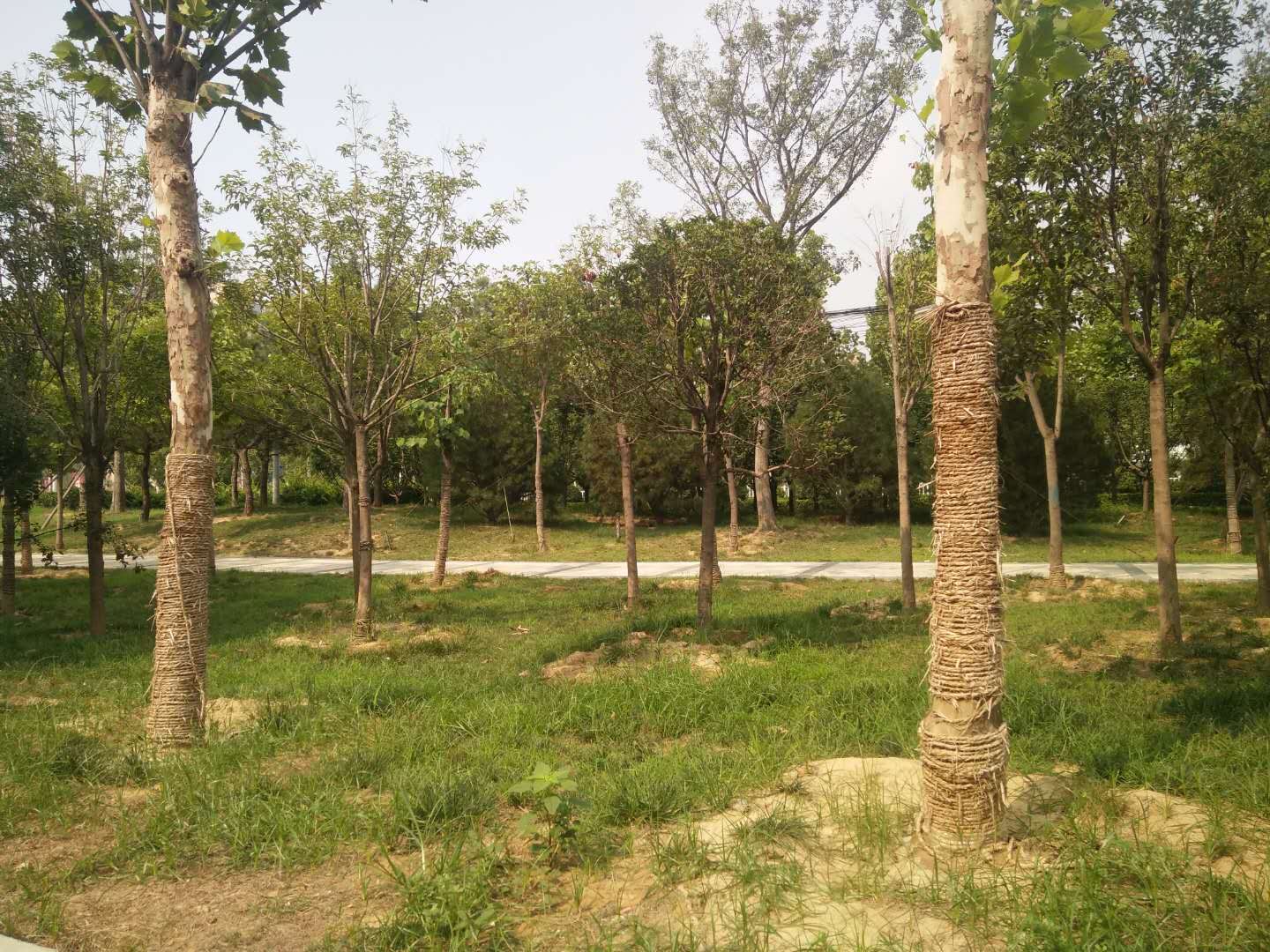 AiDePinYue Hotel (ZhangzhouXinzheng International Airport) 3*