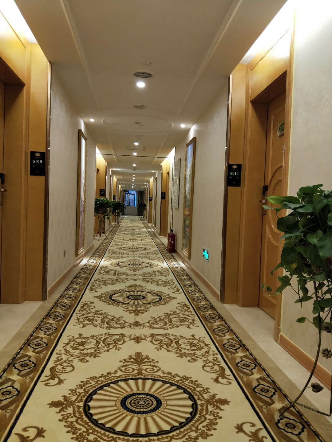 Vienna Hotel (Fangchenggang Fangcheng) 3*