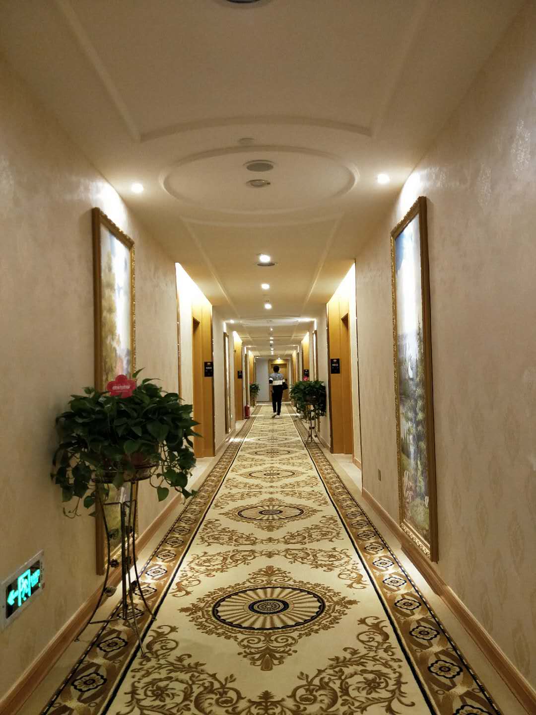 Vienna Hotel (Fangchenggang Fangcheng) 3*