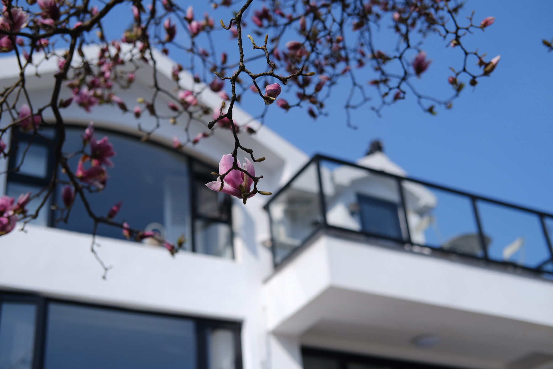 Hangzhou Sansu Homestay 3*