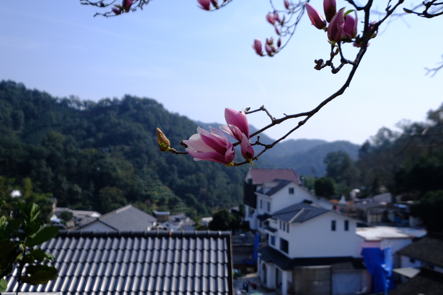 Hangzhou Sansu Homestay 3*