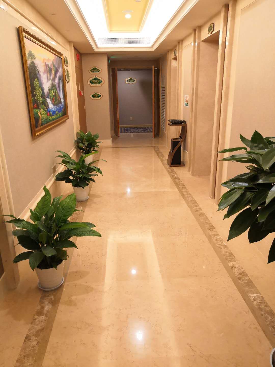 Vienna Hotel (Guangyi Store, Xiangsihu University Town, Nanning) 3*