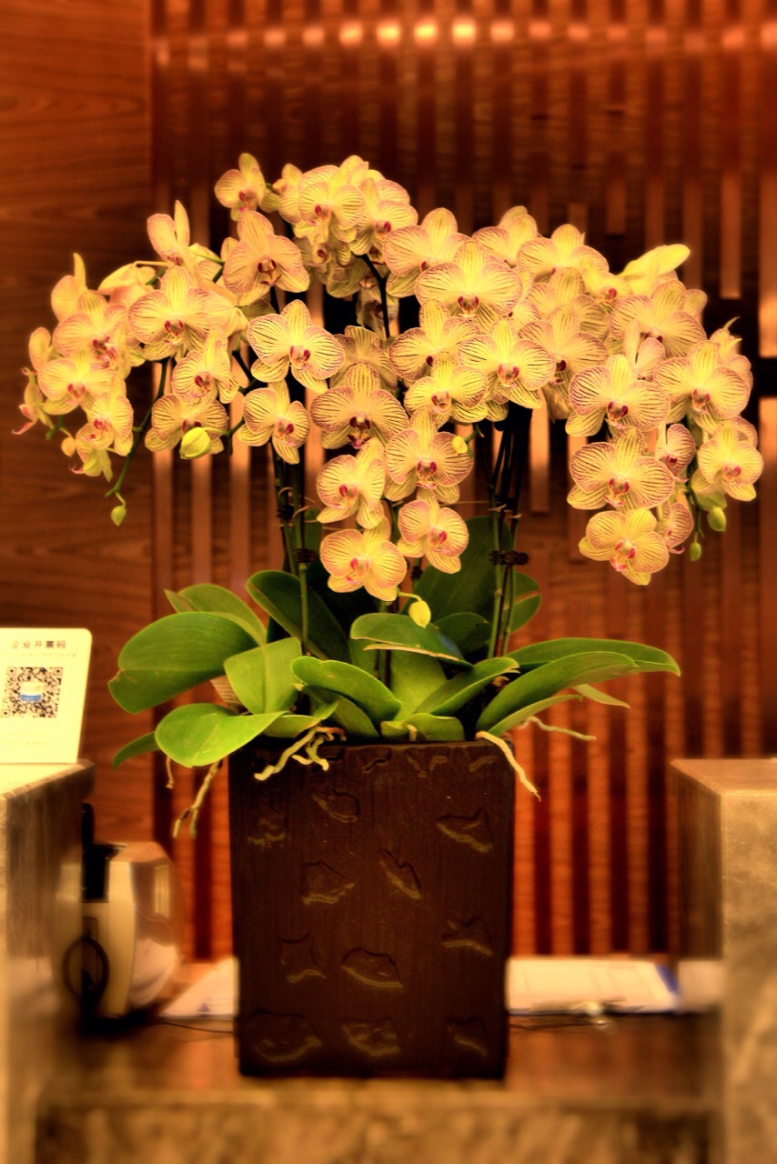 Yitel Collection (Shenyang Hunnan Olympic Sports Caixia Street Subway Station Branch ) 3*