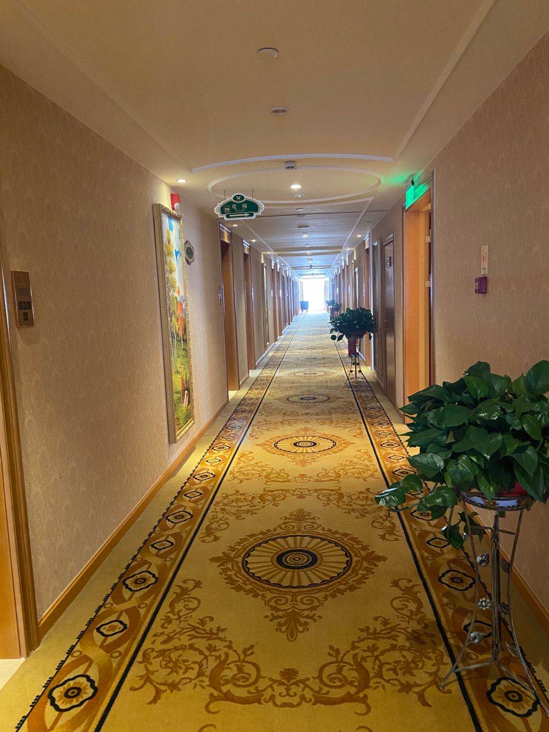 Vienna International Hotel (Lishui Haile City Tianshengqiao Scenic Area, Nanjing) 3*
