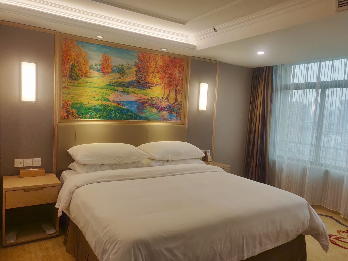 Vienna Hotel (Nanning Beihu Metro Station) 3*