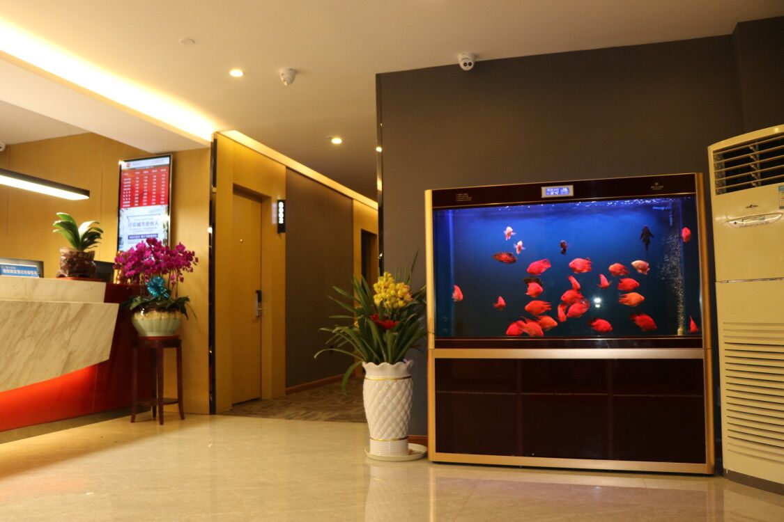 Shankee Hotel (Danyang Railway Station Glasses City) 2*