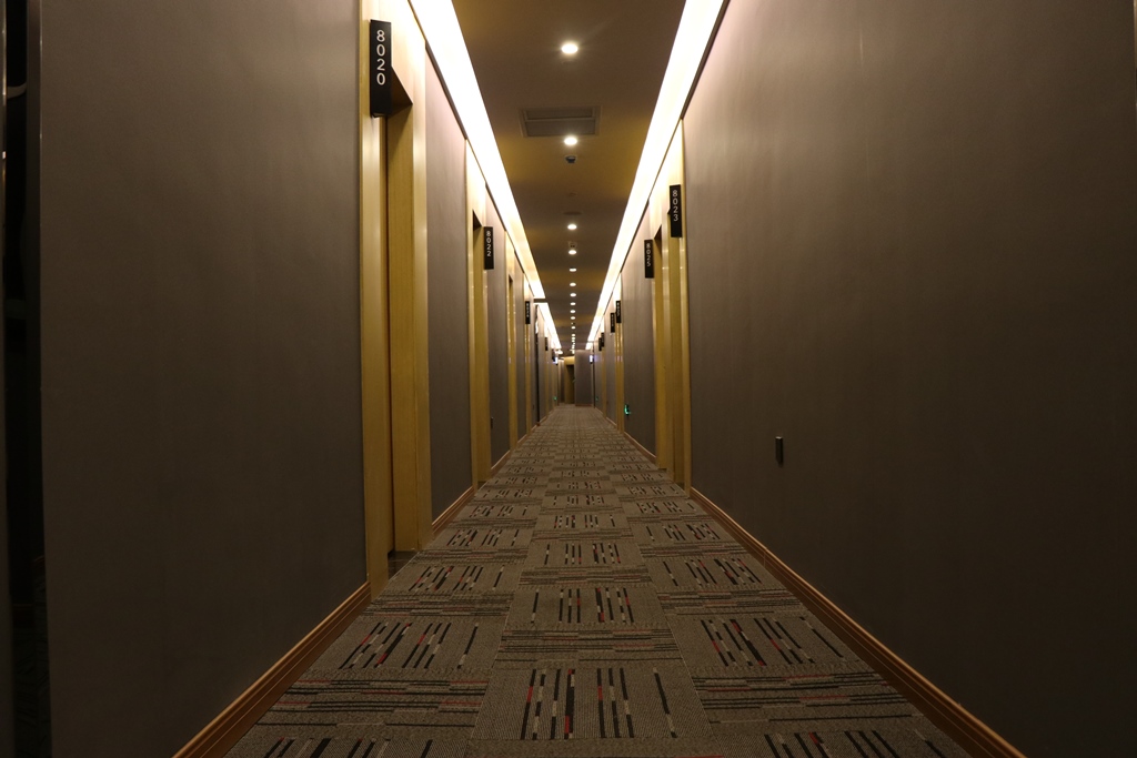 Shankee Hotel (Danyang Railway Station Glasses City) 2*
