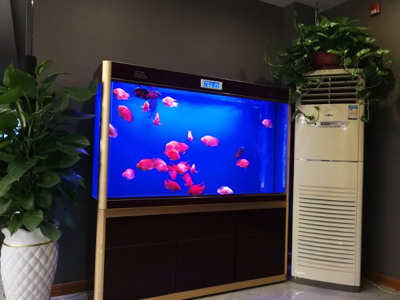 Shankee Hotel (Danyang Railway Station Glasses City) 2*