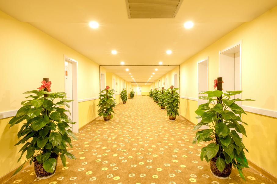 Home inn (Jingxi Jinxiu Ancient Town Longtan Park Branch) 2*