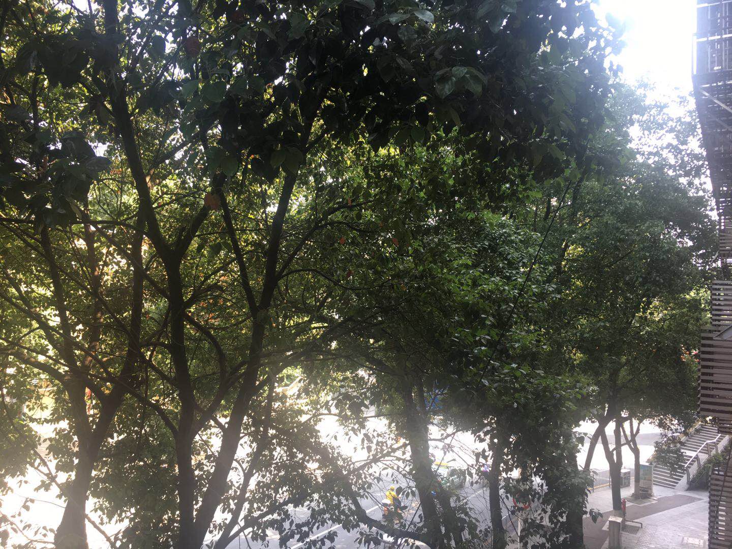 Afuer Chain Wisdom Hotel (Jishou Qianlong) 2*