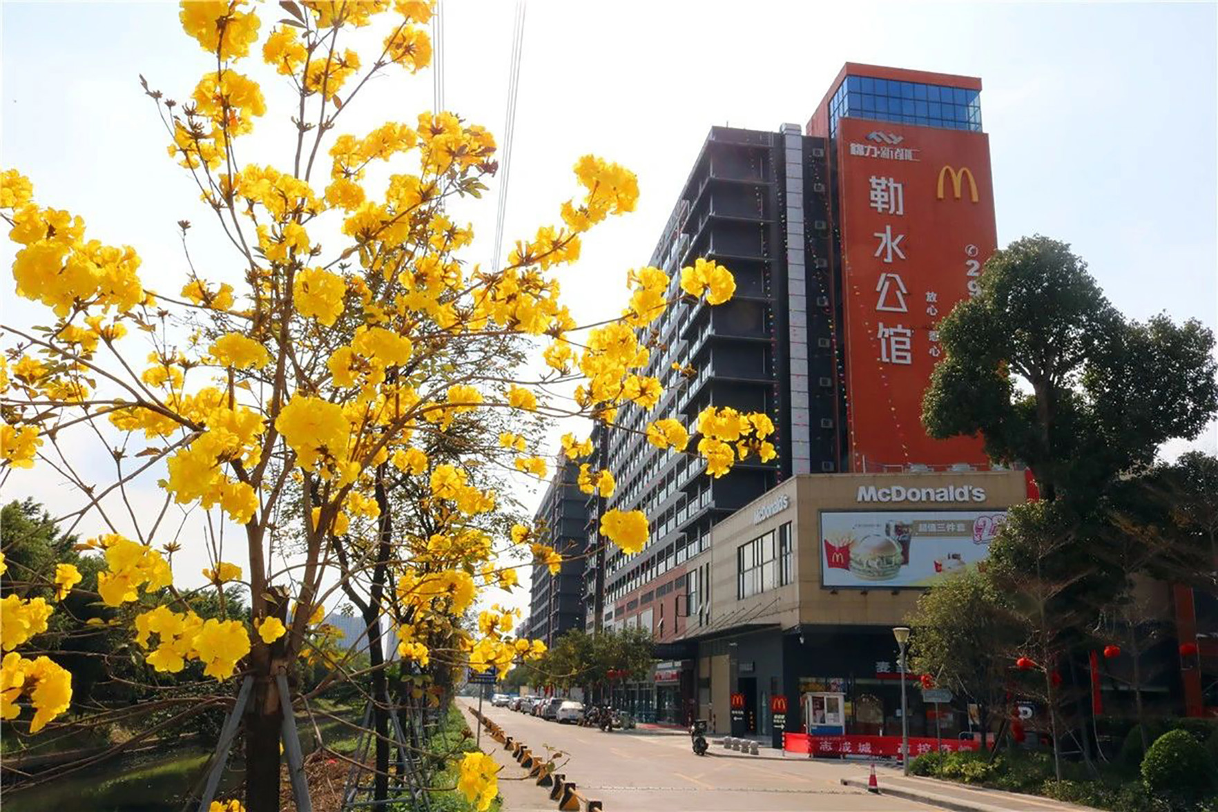 Foshan Leshui Mansion (Leliu Port West Road Branch) 3*