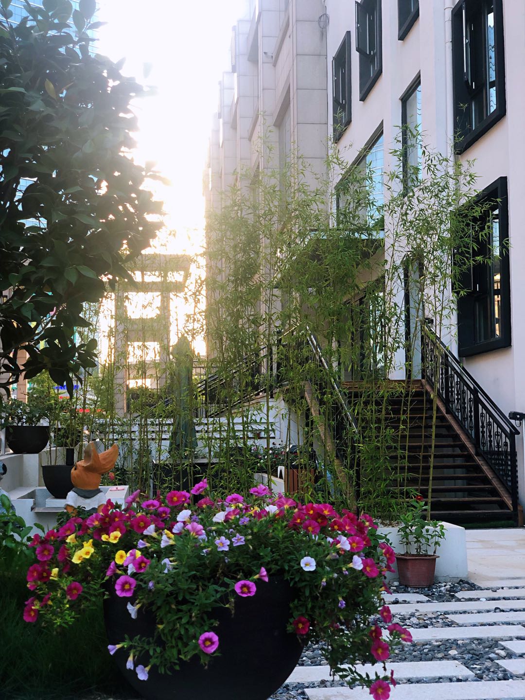 Begonia Garden Hotel 3*