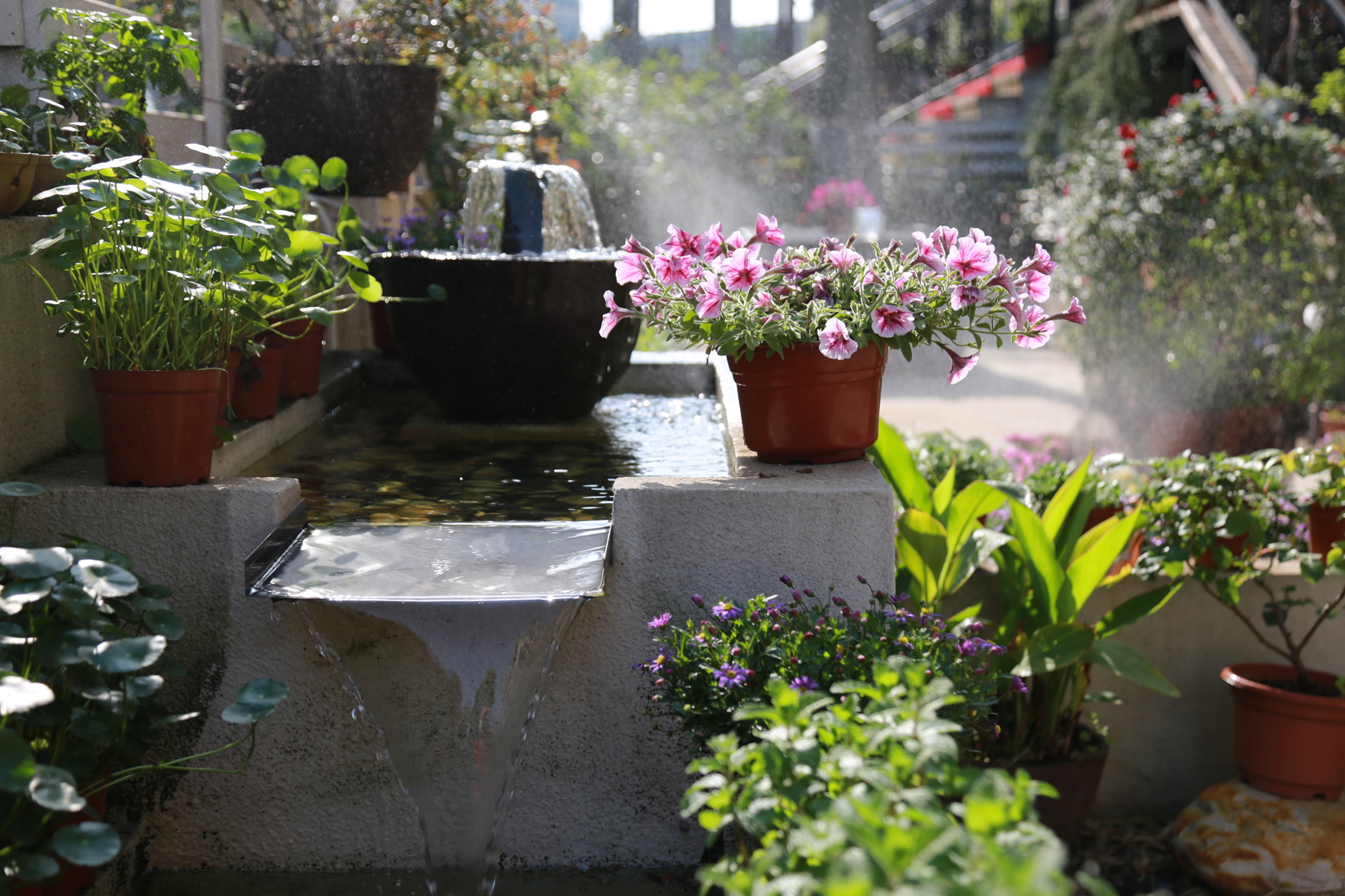 Begonia Garden Hotel 3*