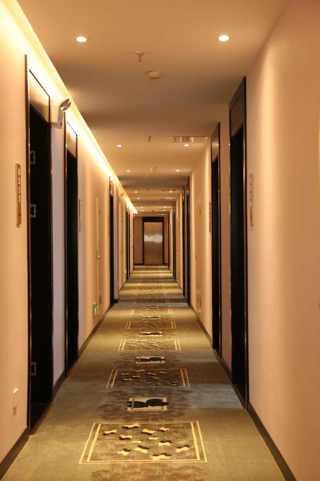 Begonia Garden Hotel 3*