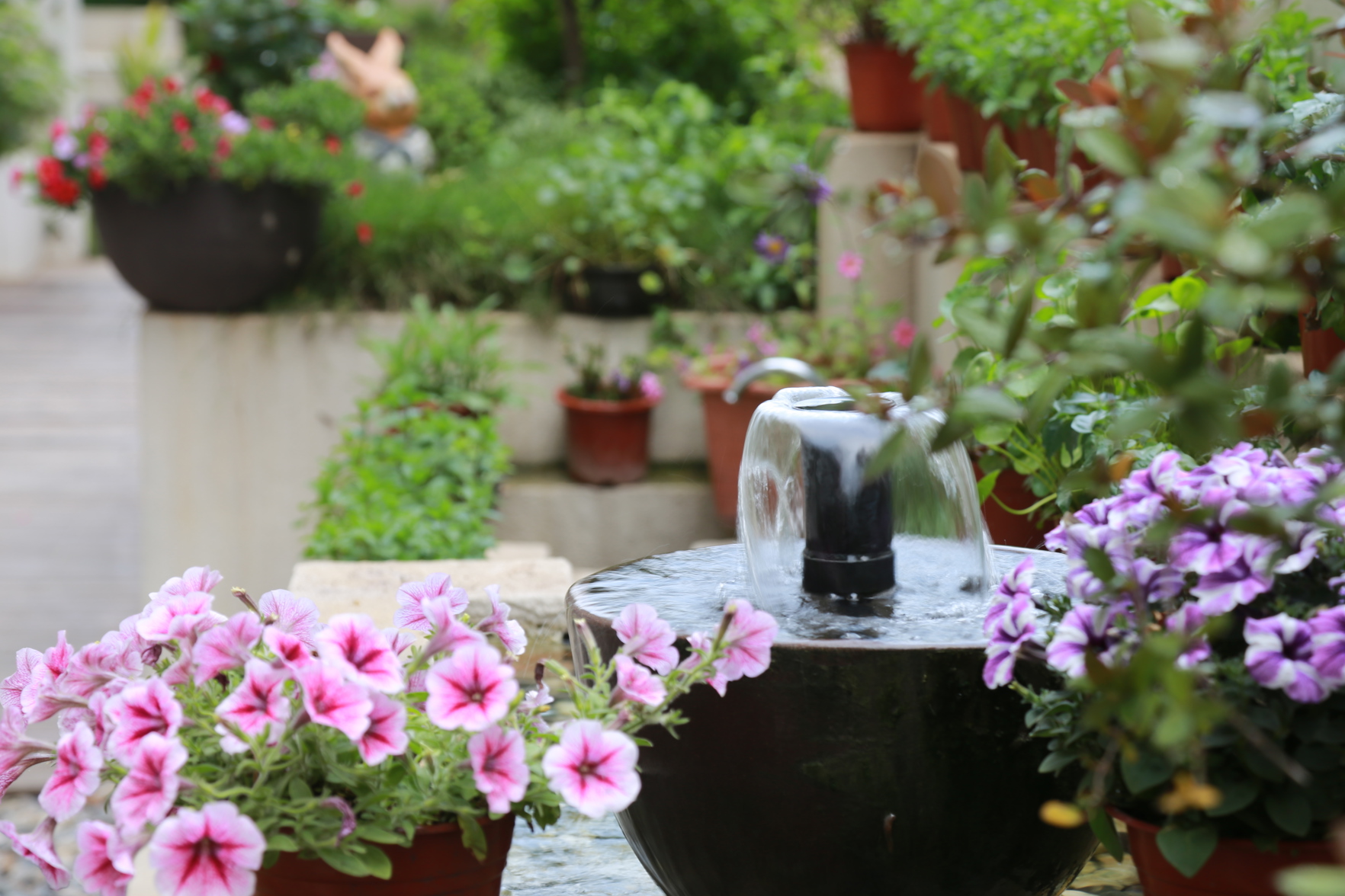 Begonia Garden Hotel 3*