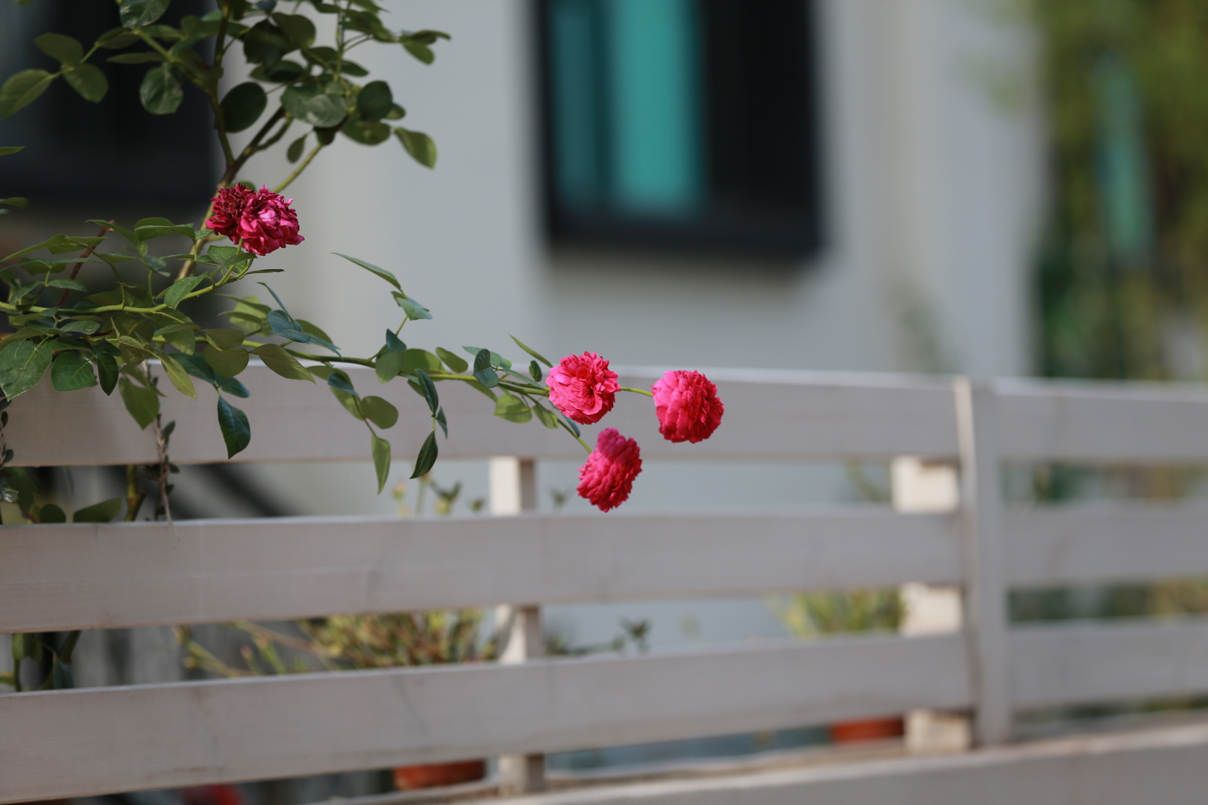 Begonia Garden Hotel 3*