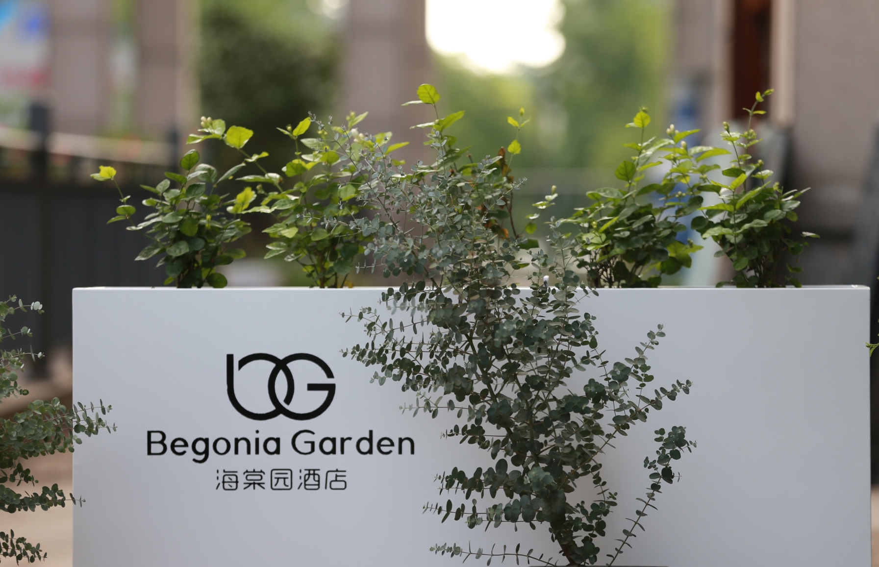 Begonia Garden Hotel 3*