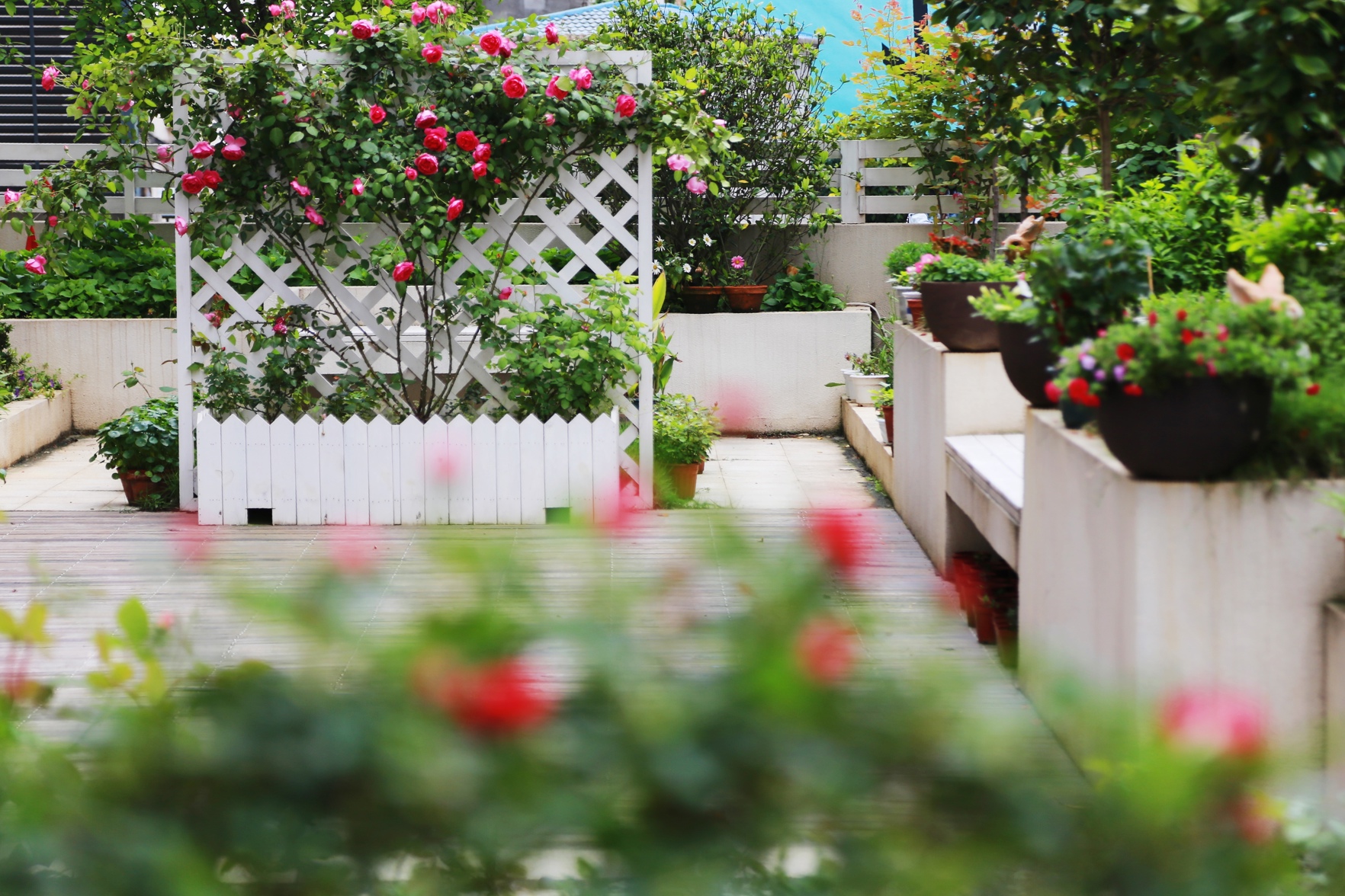 Begonia Garden Hotel 3*