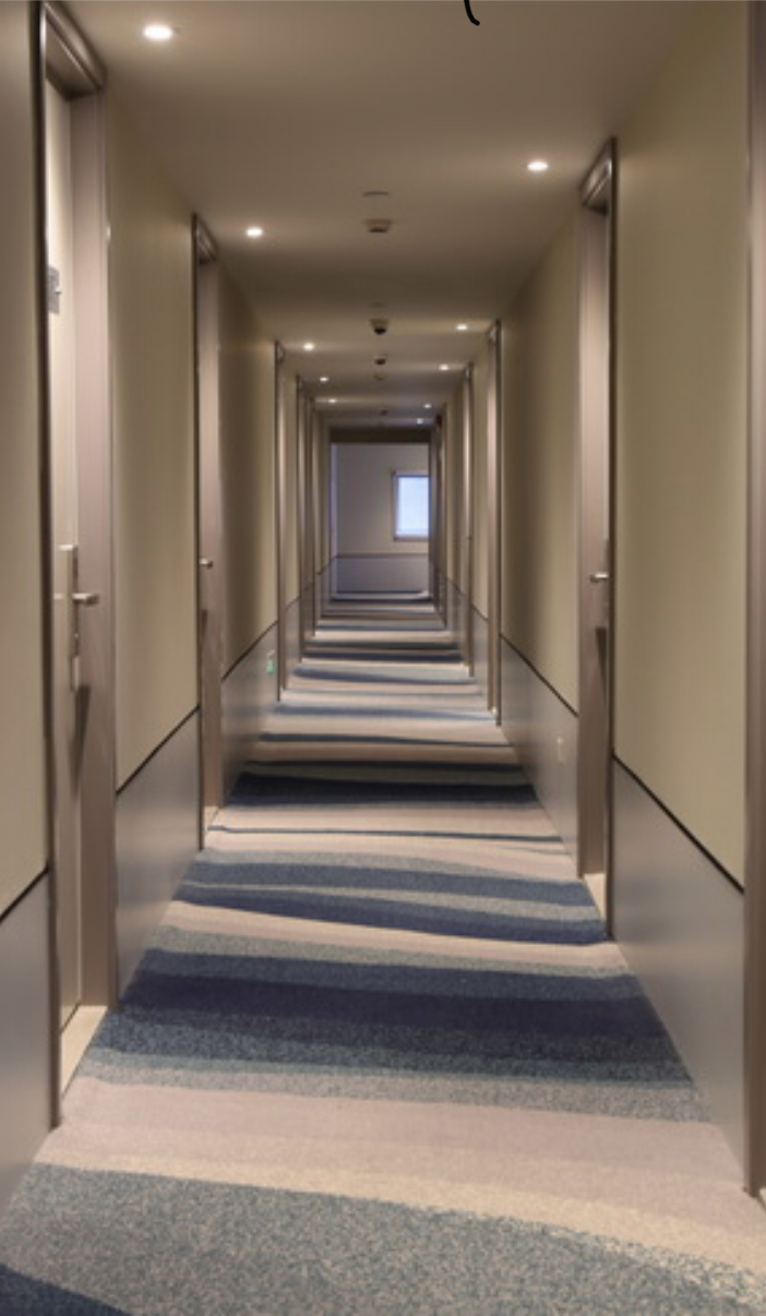 Homeinn Selected Hotel (Hefei South Station Luogang Central Park) 3*