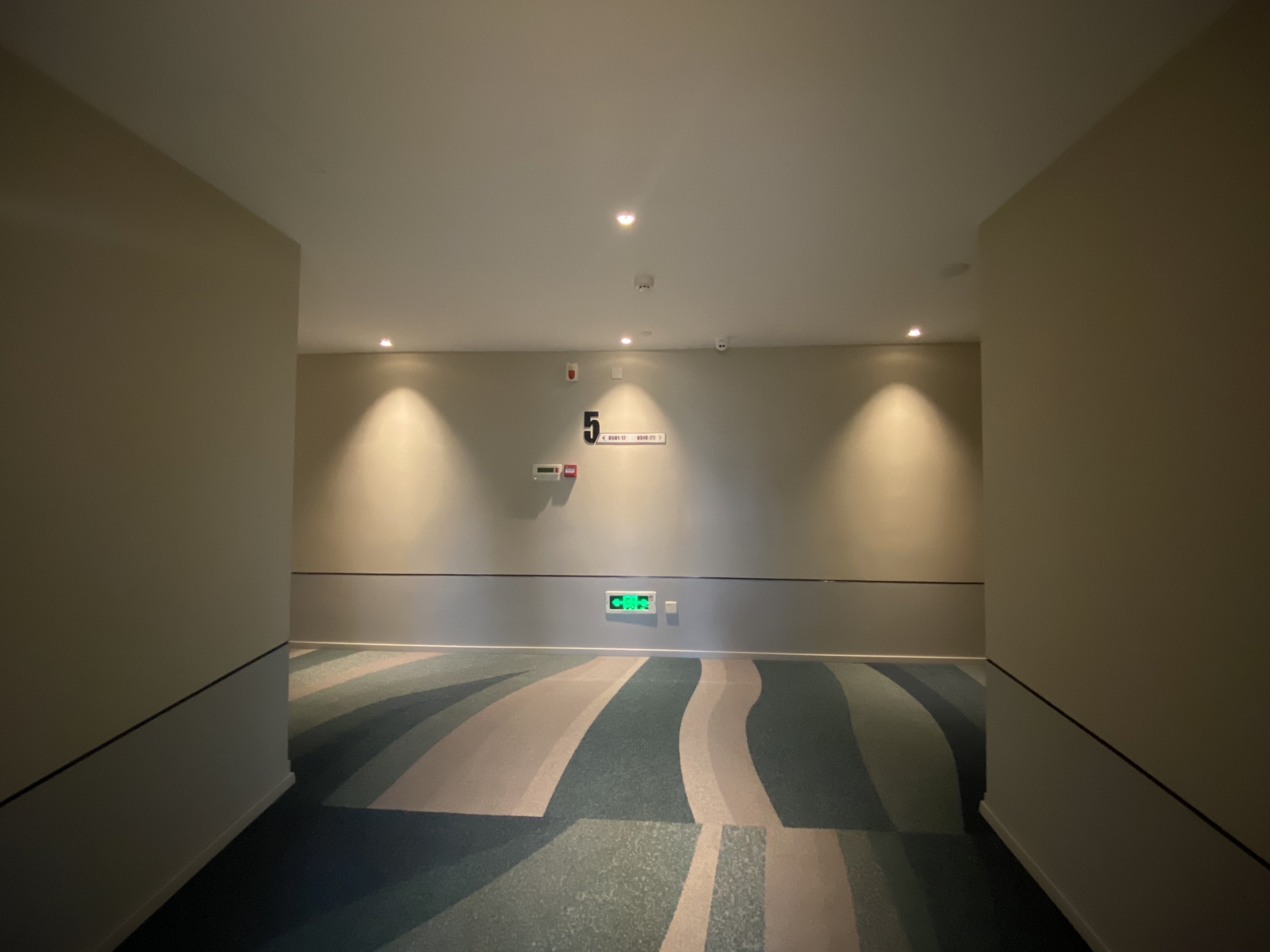 Homeinn Selected Hotel (Hefei South Station Luogang Central Park) 3*