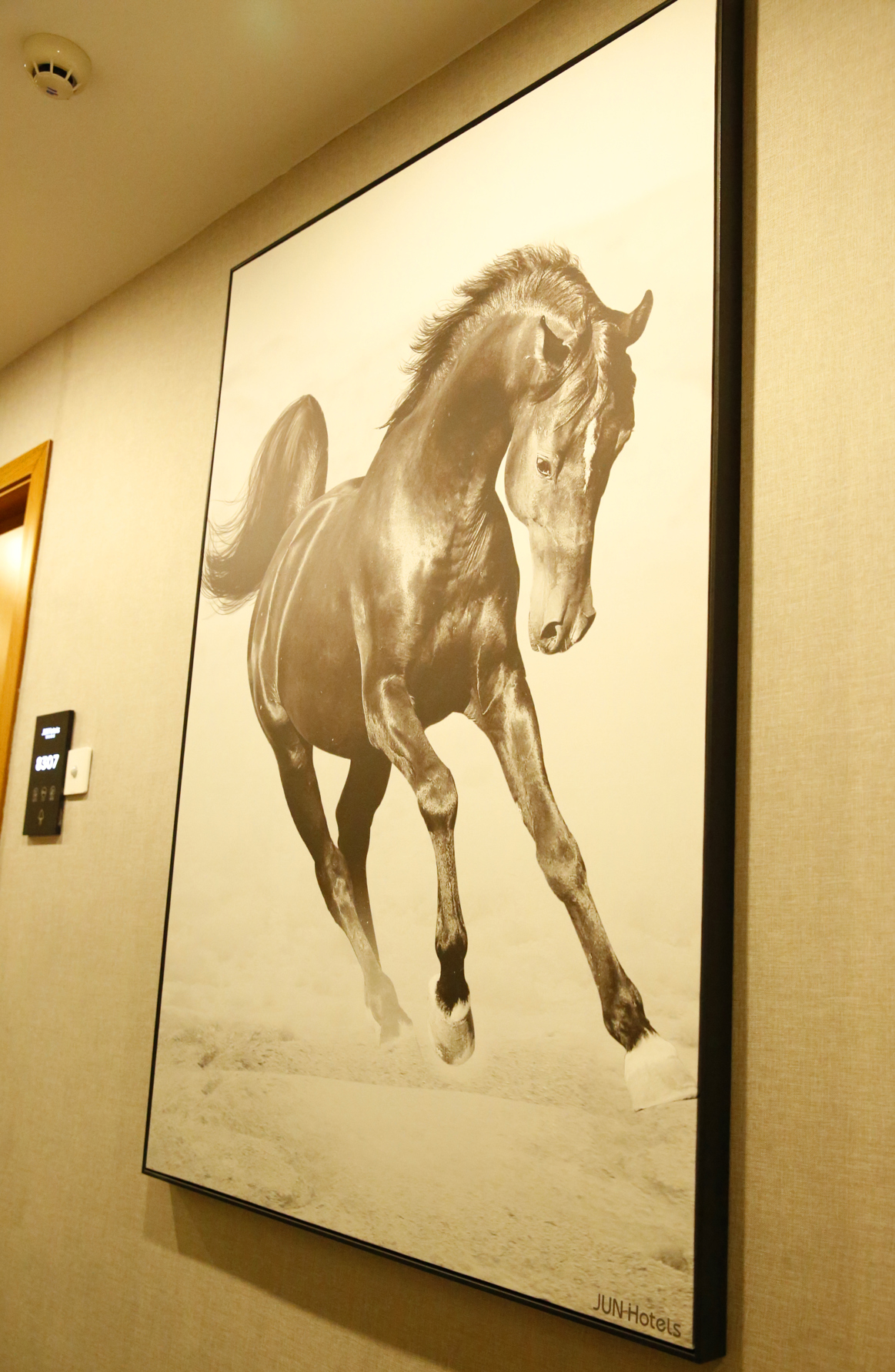 Junyi Chain Hotel (Fangchenggang High-speed Railway North Station Store) 2*