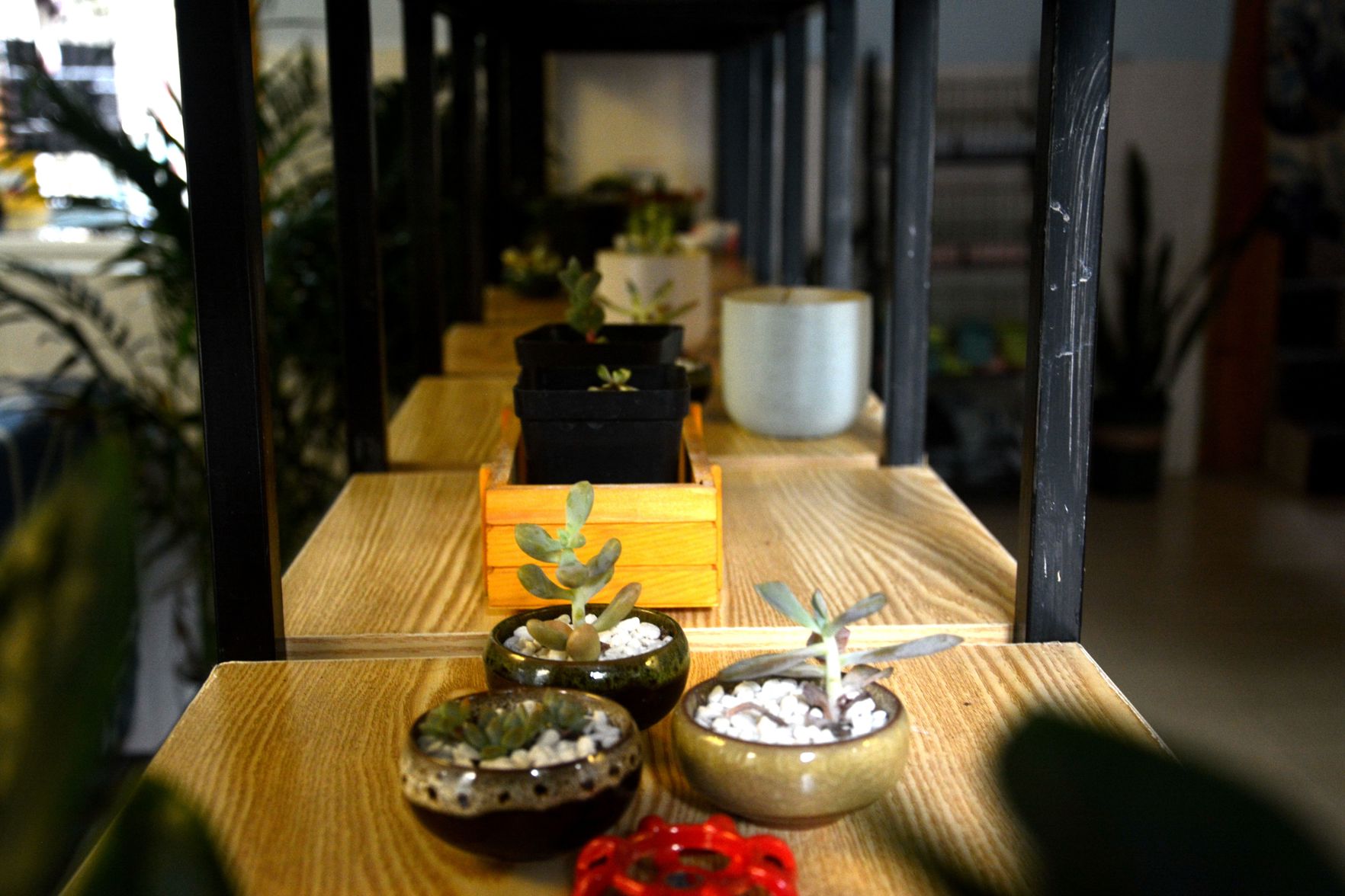 Beihai Misty Youth Hostel 2*