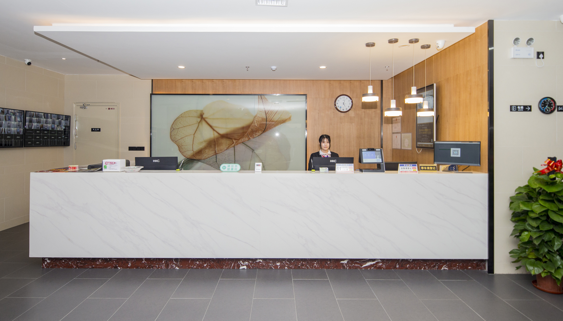 GreenTree Hotel (Tianjin Jinnan lingshijun University of Finance and Economics) 2*