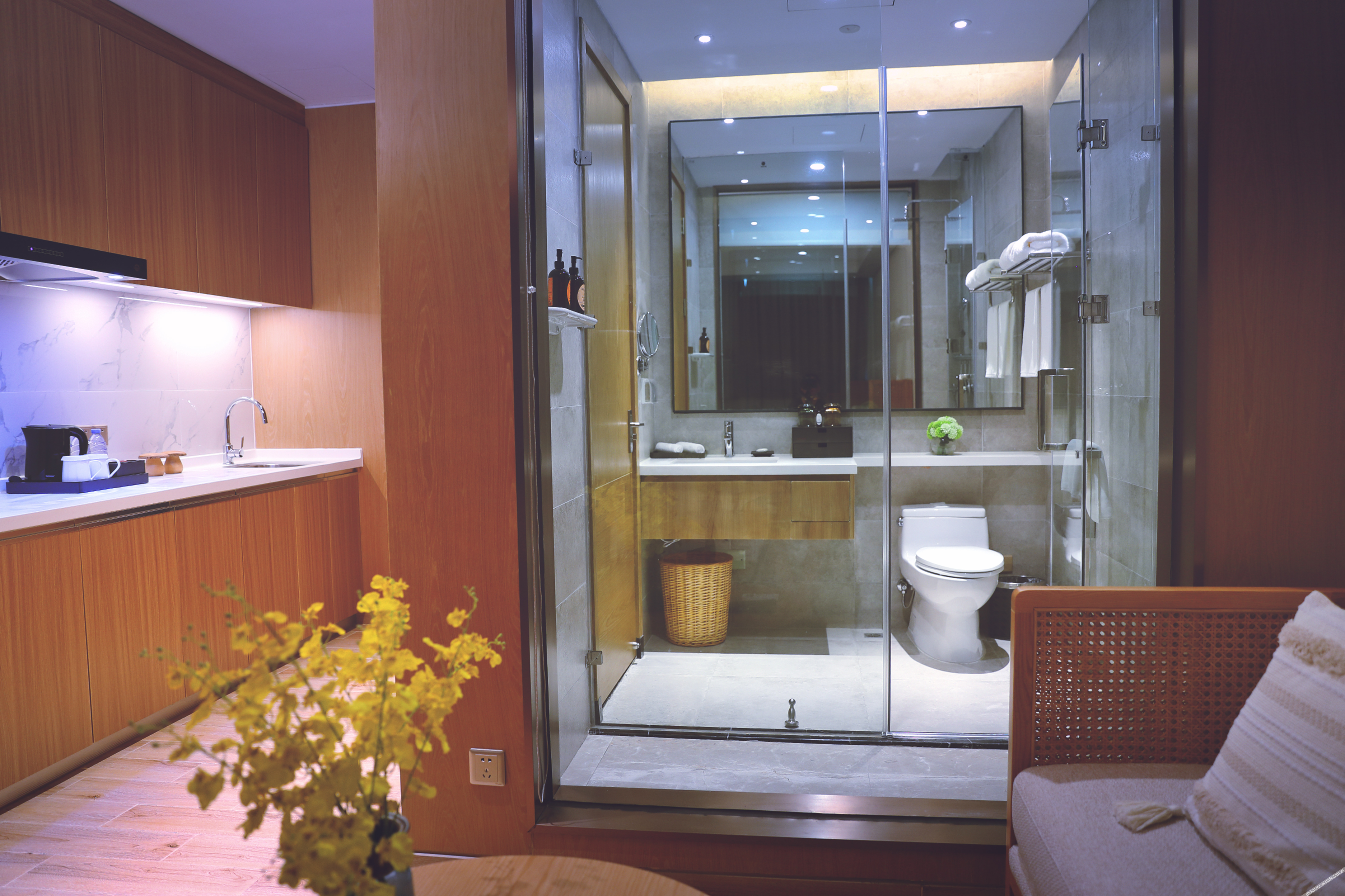 Artel Xinghai Resort Shanwei Jintingwan 4*