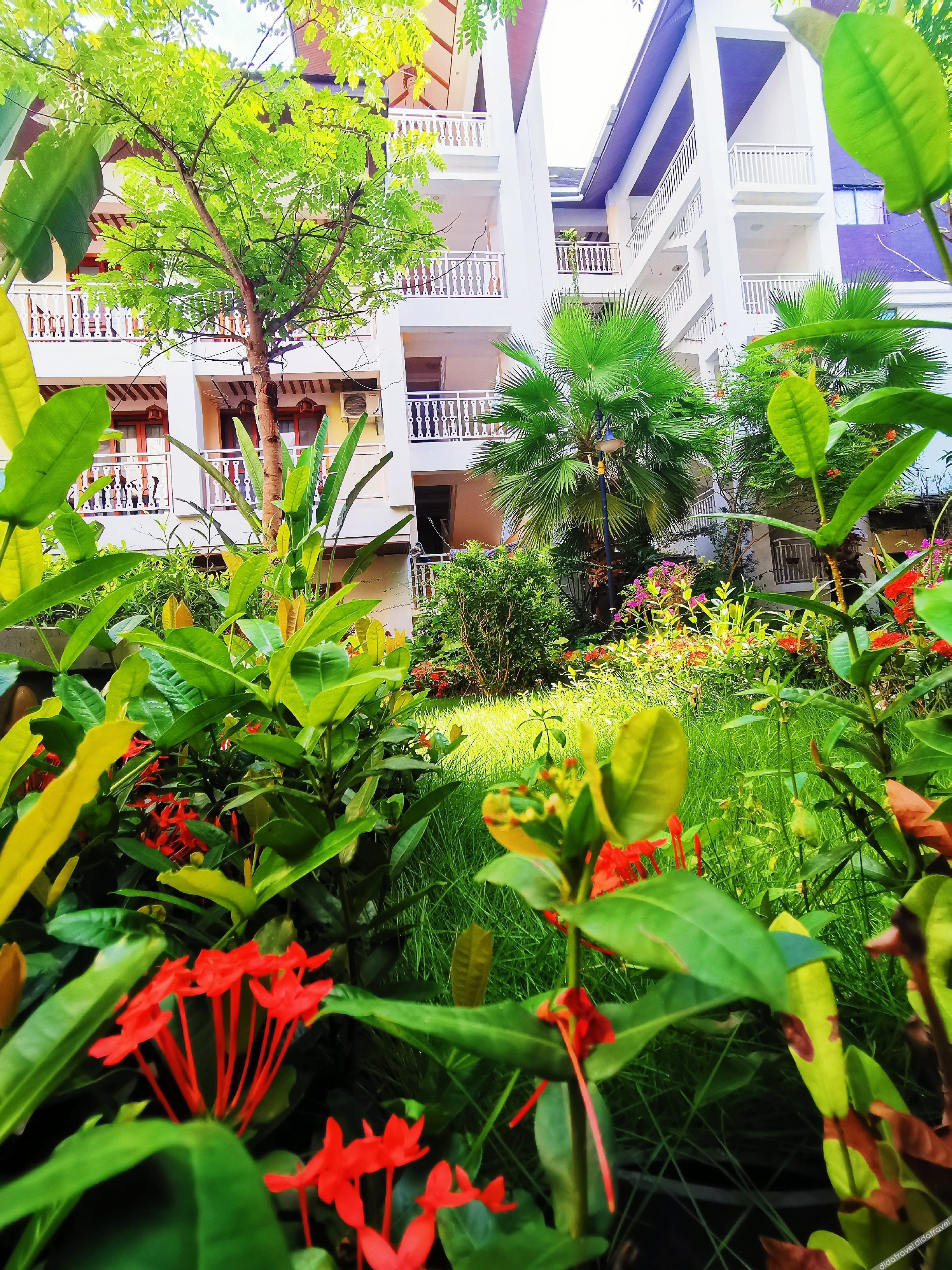 Xishuangbanna Flower Full court inn 3*