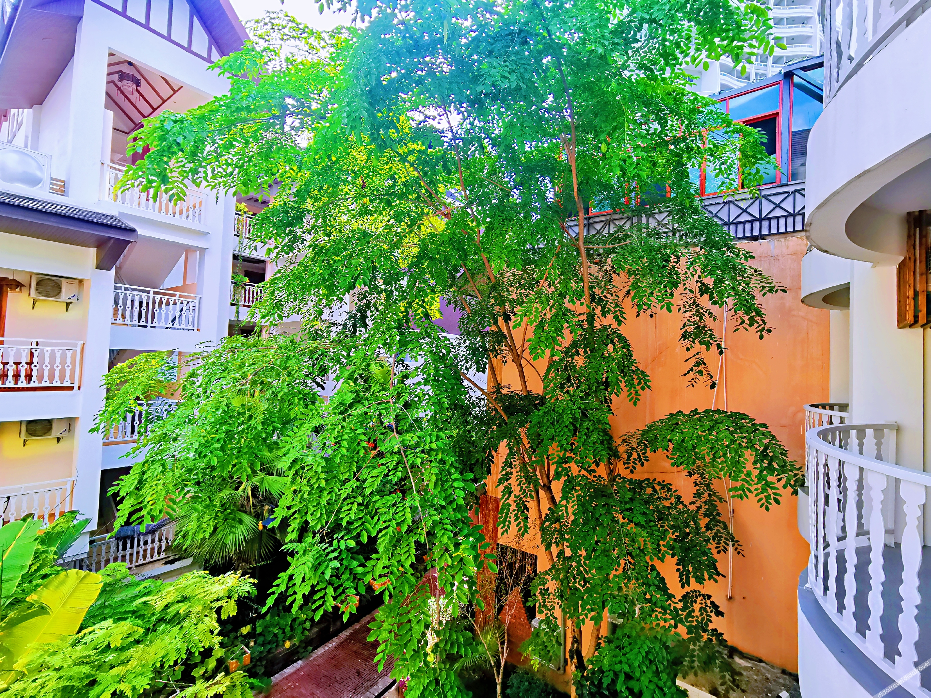 Xishuangbanna Flower Full court inn 3*