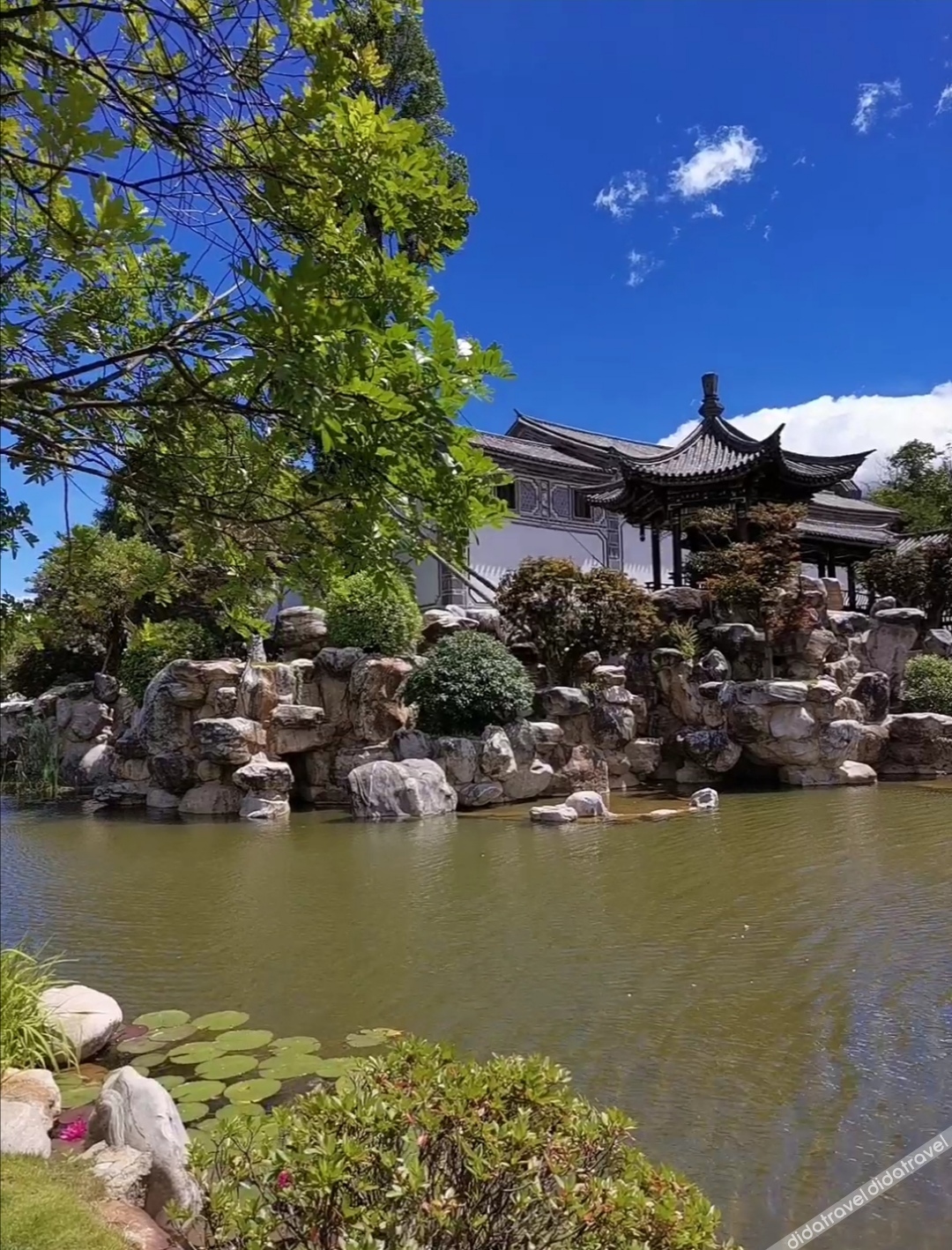 Dali Ancient City Shuangqing Inn 2*