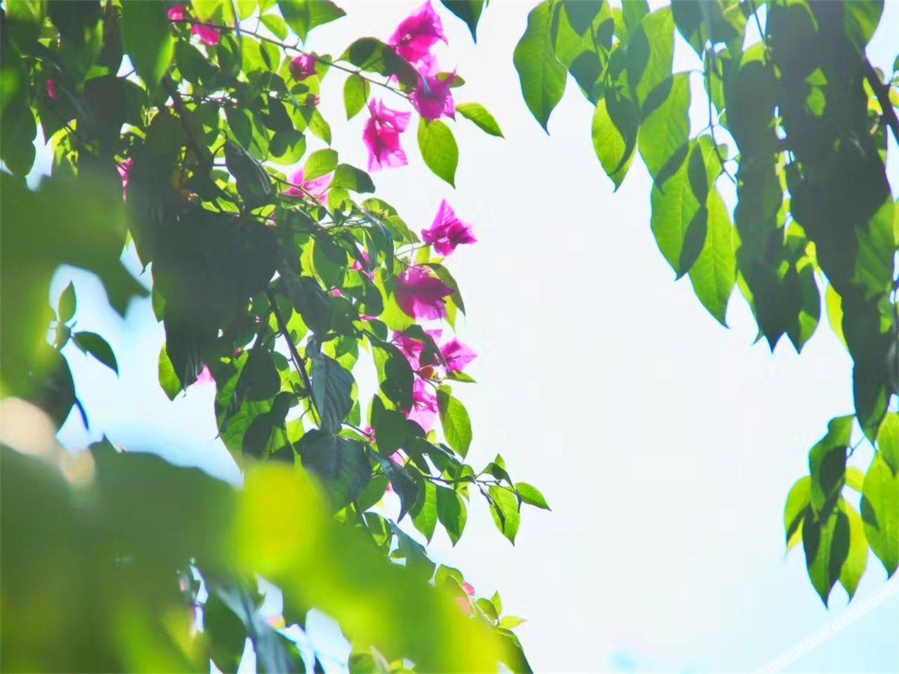 Floral Hotel · Anji Banshan Boling Resort Hotel 3*