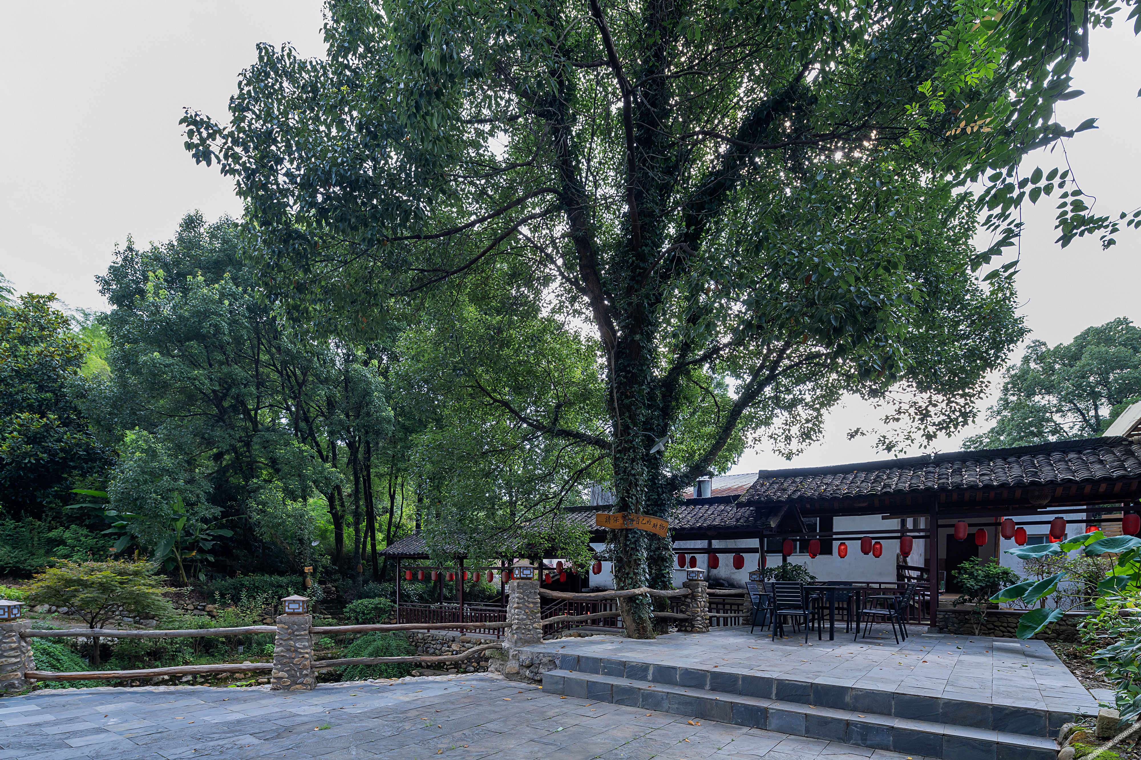 Floral Hotel·Laigui road Wang hotel (Donglin Temple Lushan cableway store) 3*
