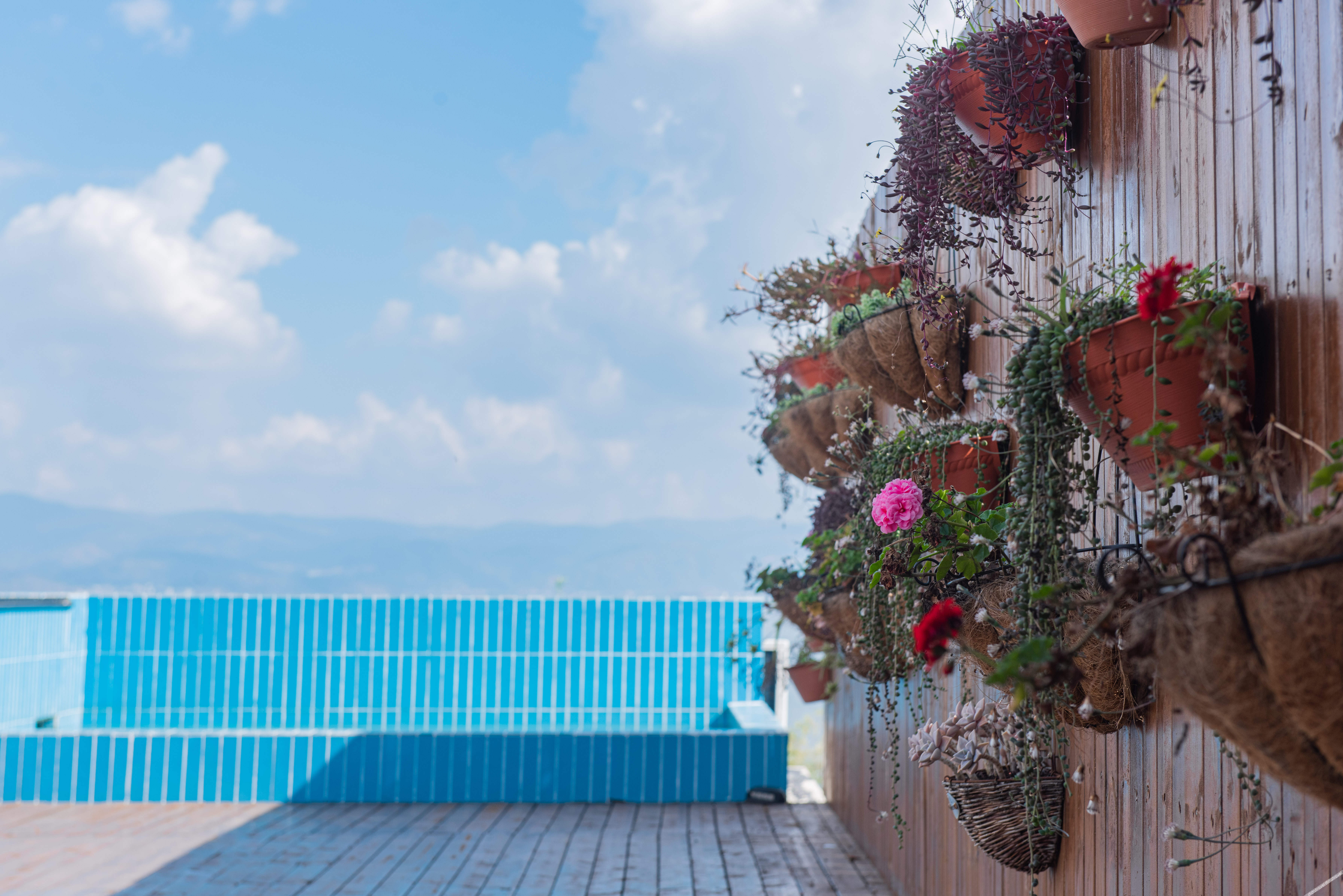 Floral Hotel·1Wei Hotel 3*