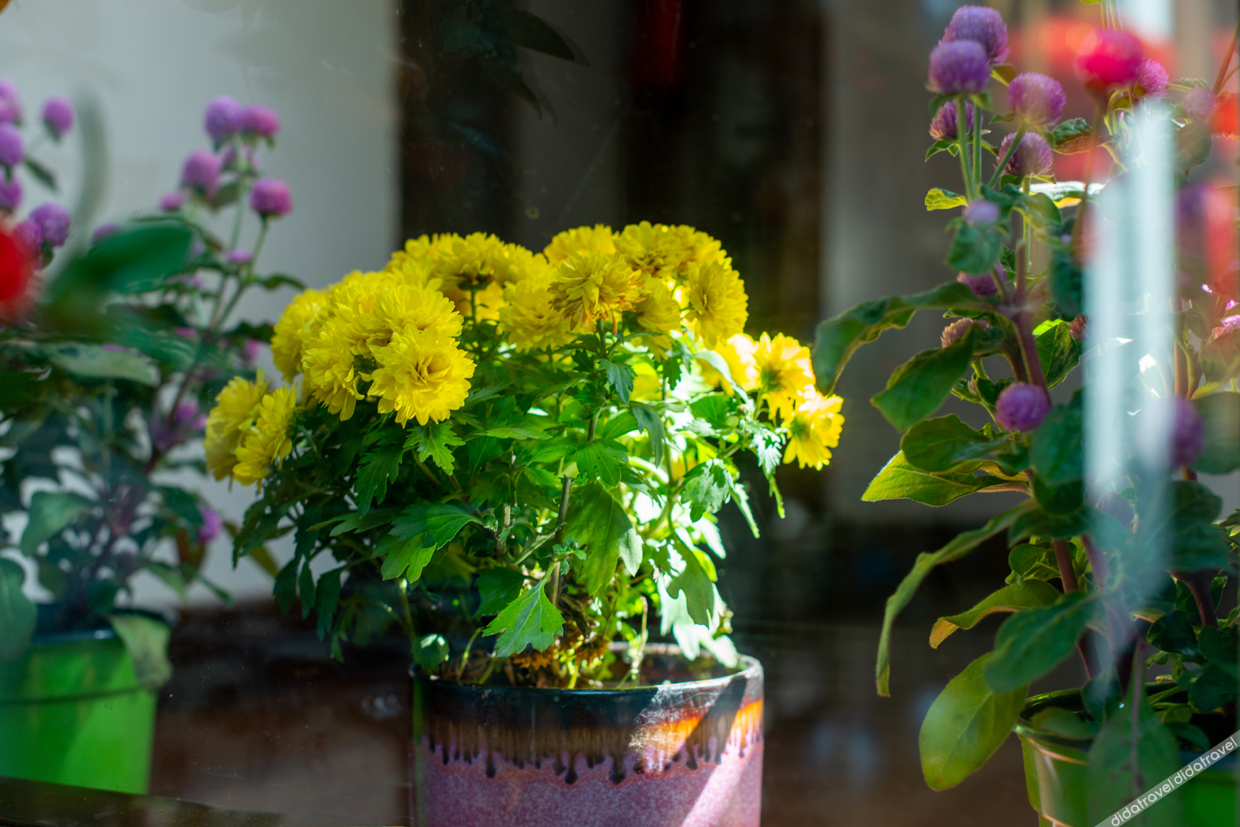 Floral Hotel·Yixing Sanpin cloud Hotel 3*