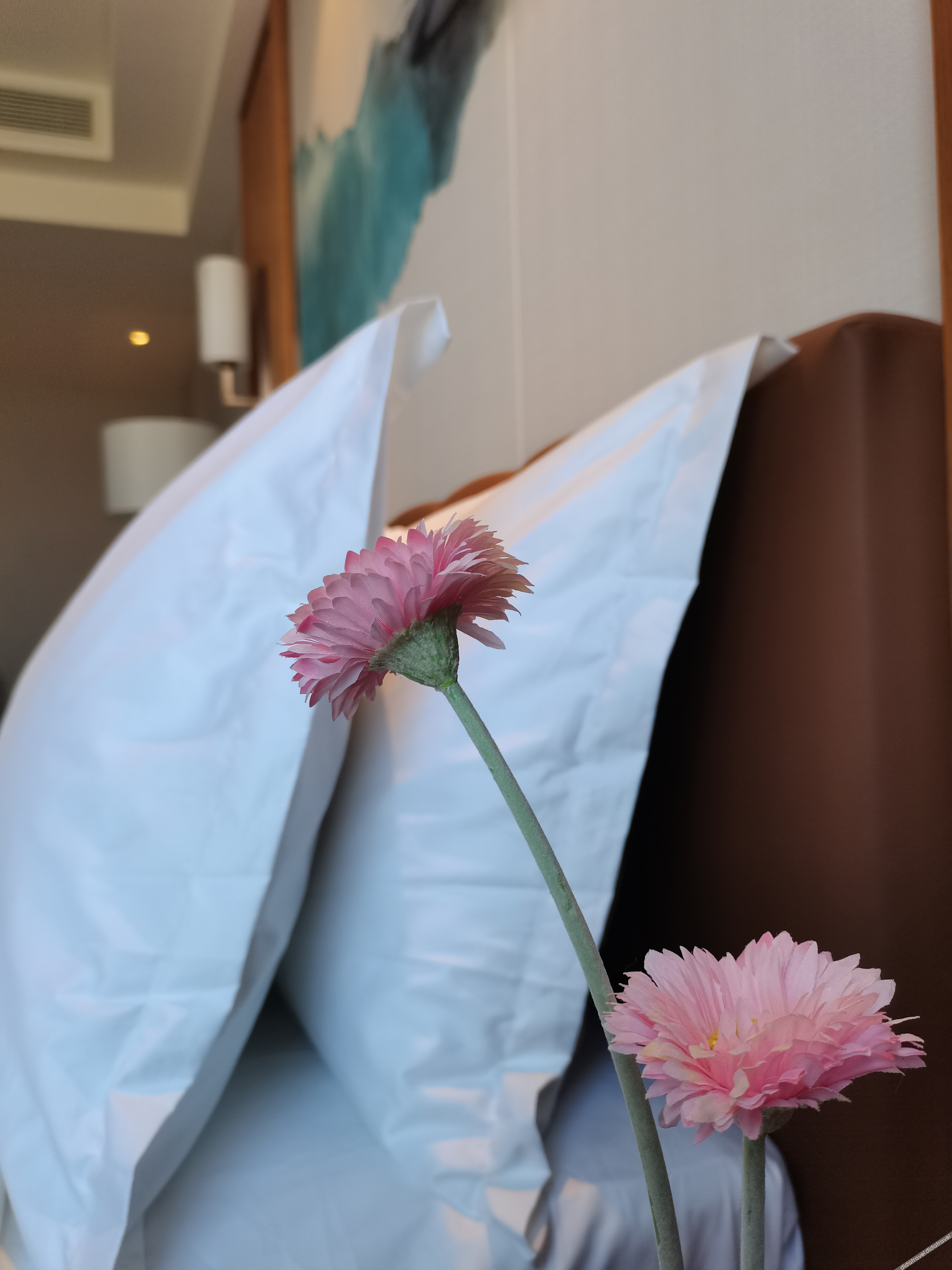 Argyle Hotel 4*