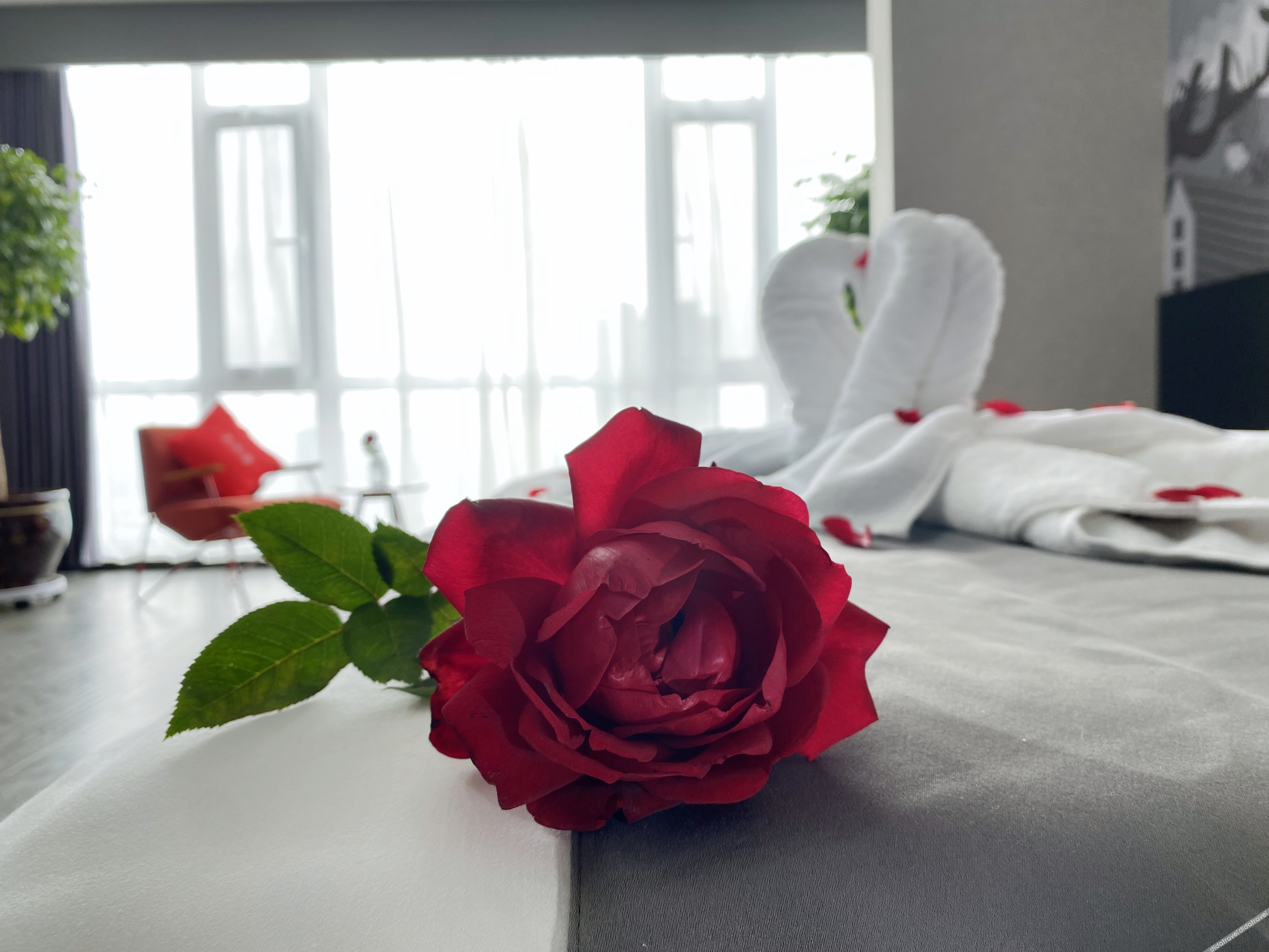 Shankee Hotel (Shenyang Zhangshi Lighting City) 2*