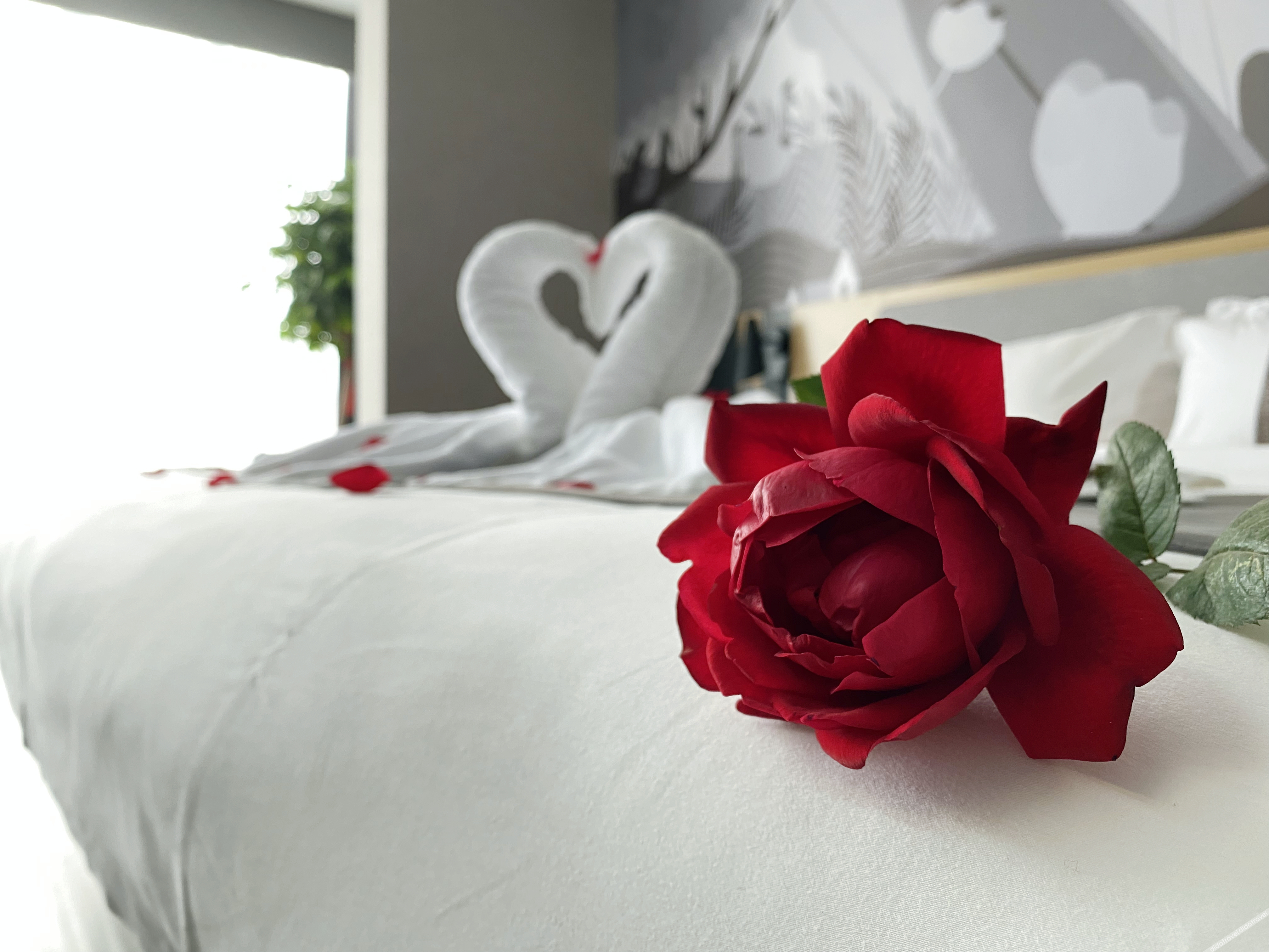 Shankee Hotel (Shenyang Zhangshi Lighting City) 2*