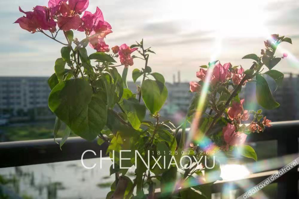 Leson Light Luxury Hotel 2*