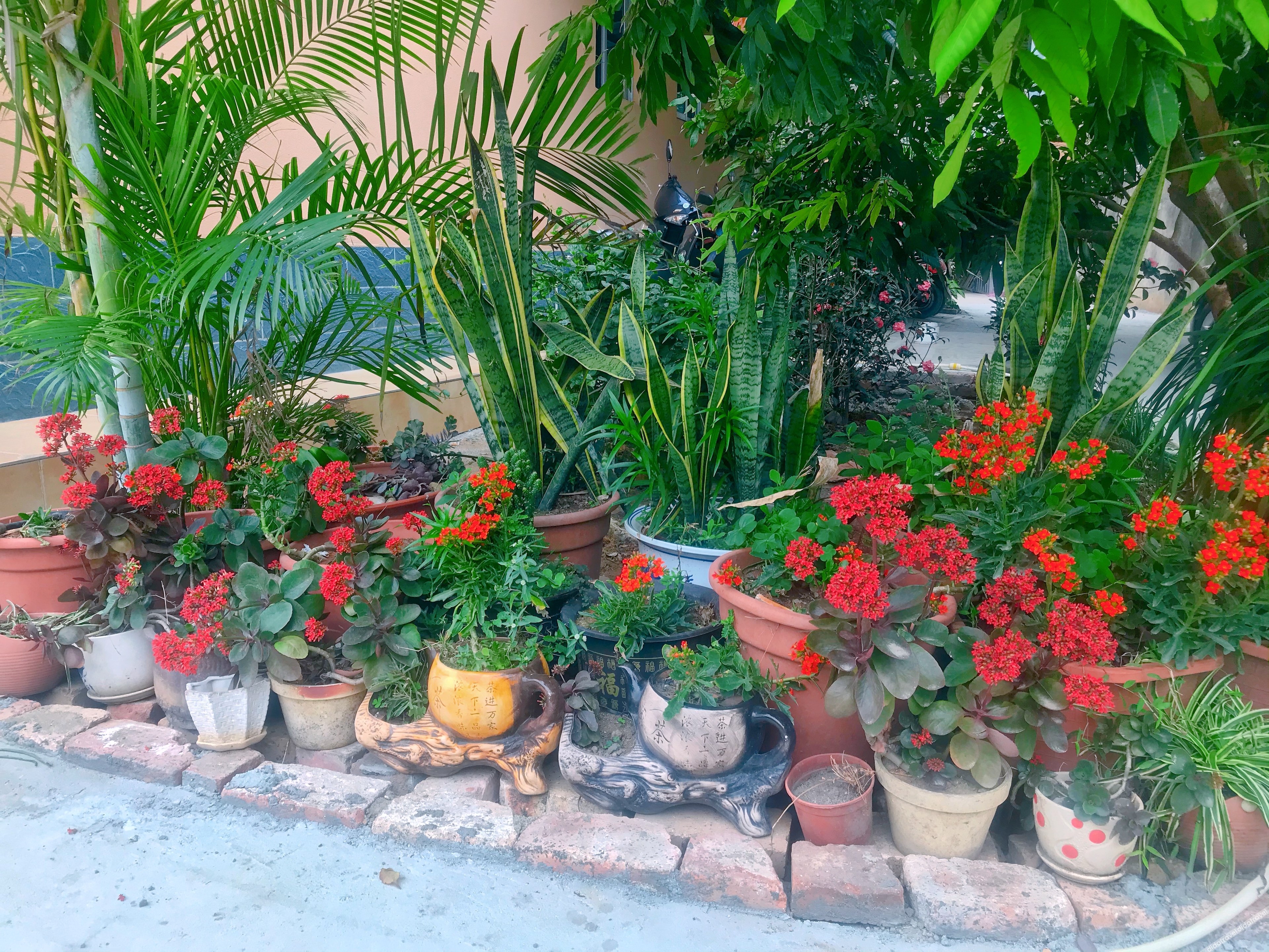 Beihai Guoxiangyuan Homestay 2*