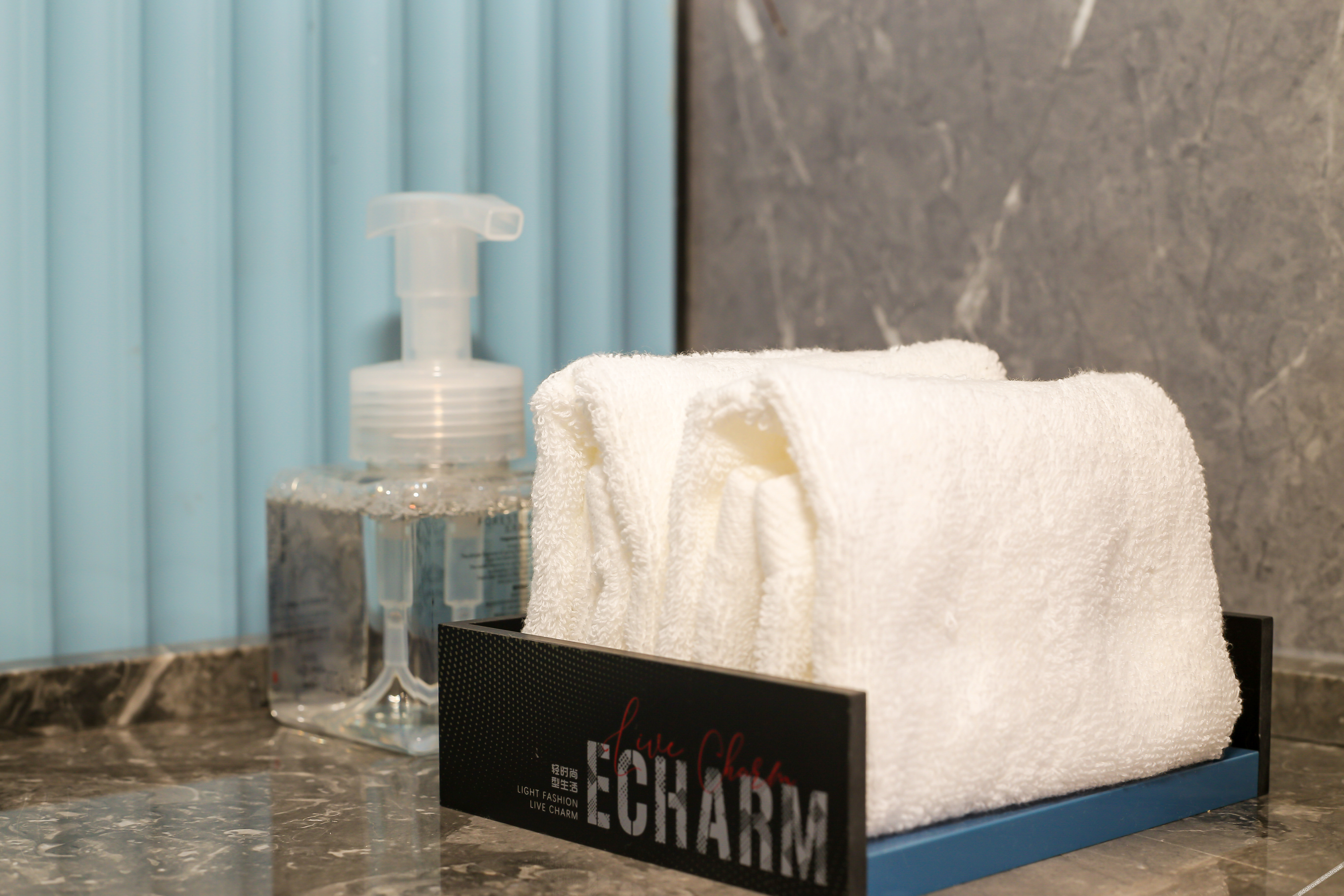 Echarm Hotel (Dongguan Guoji Qichecheng Lanqiuzhongxin) 3*