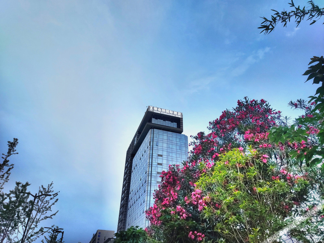 Vienna International Hotel (Dongwu South Road Hongzhuang Metro Station) 4*