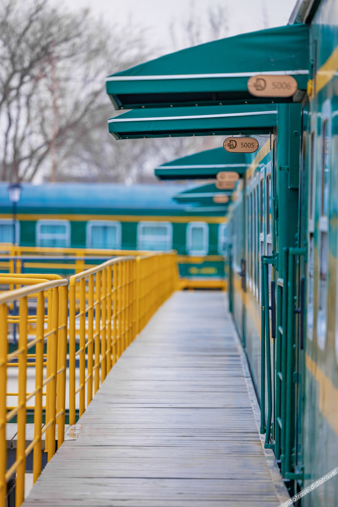 Green Train Leisurely Time 3*