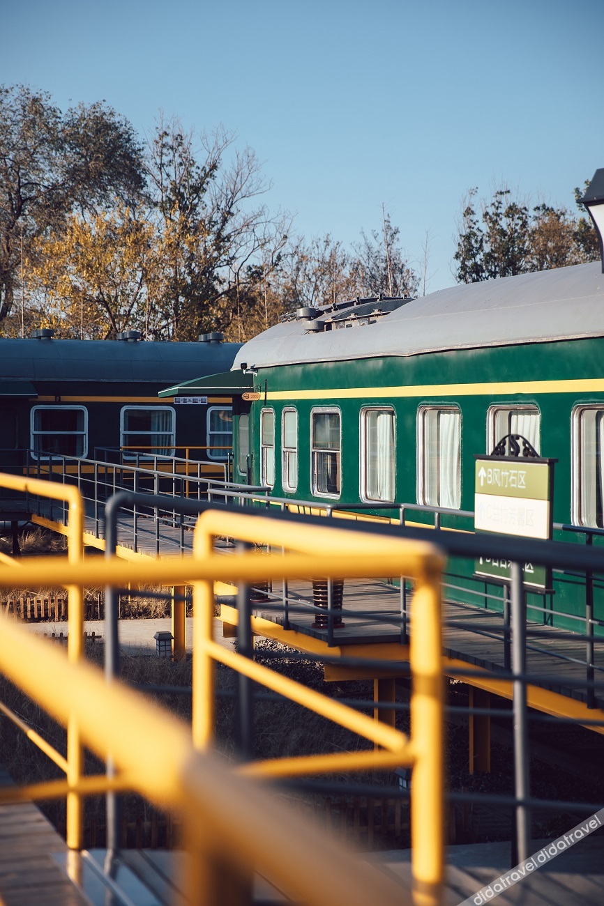 Green Train Leisurely Time 3*