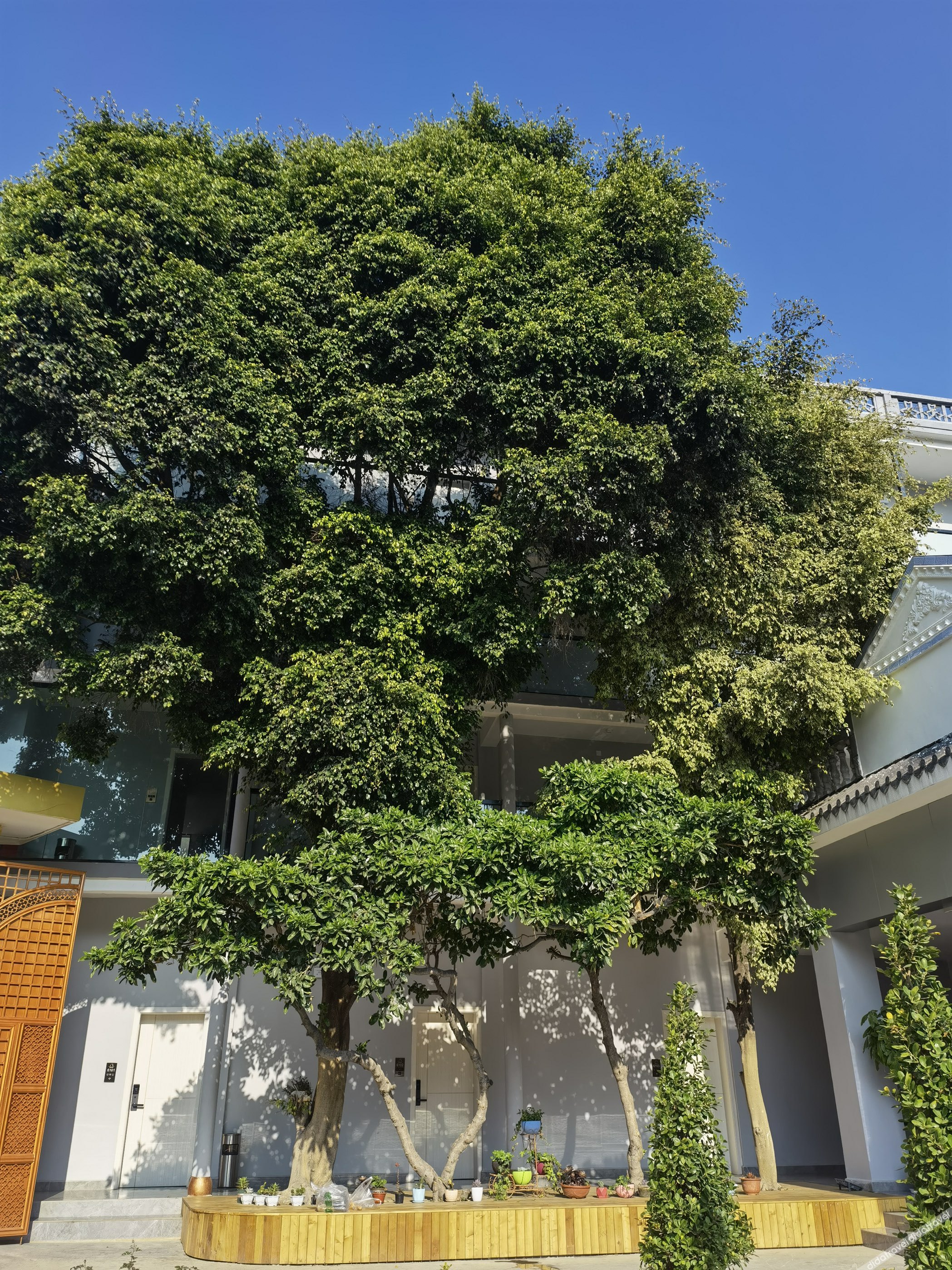 Manhui hotel 3*