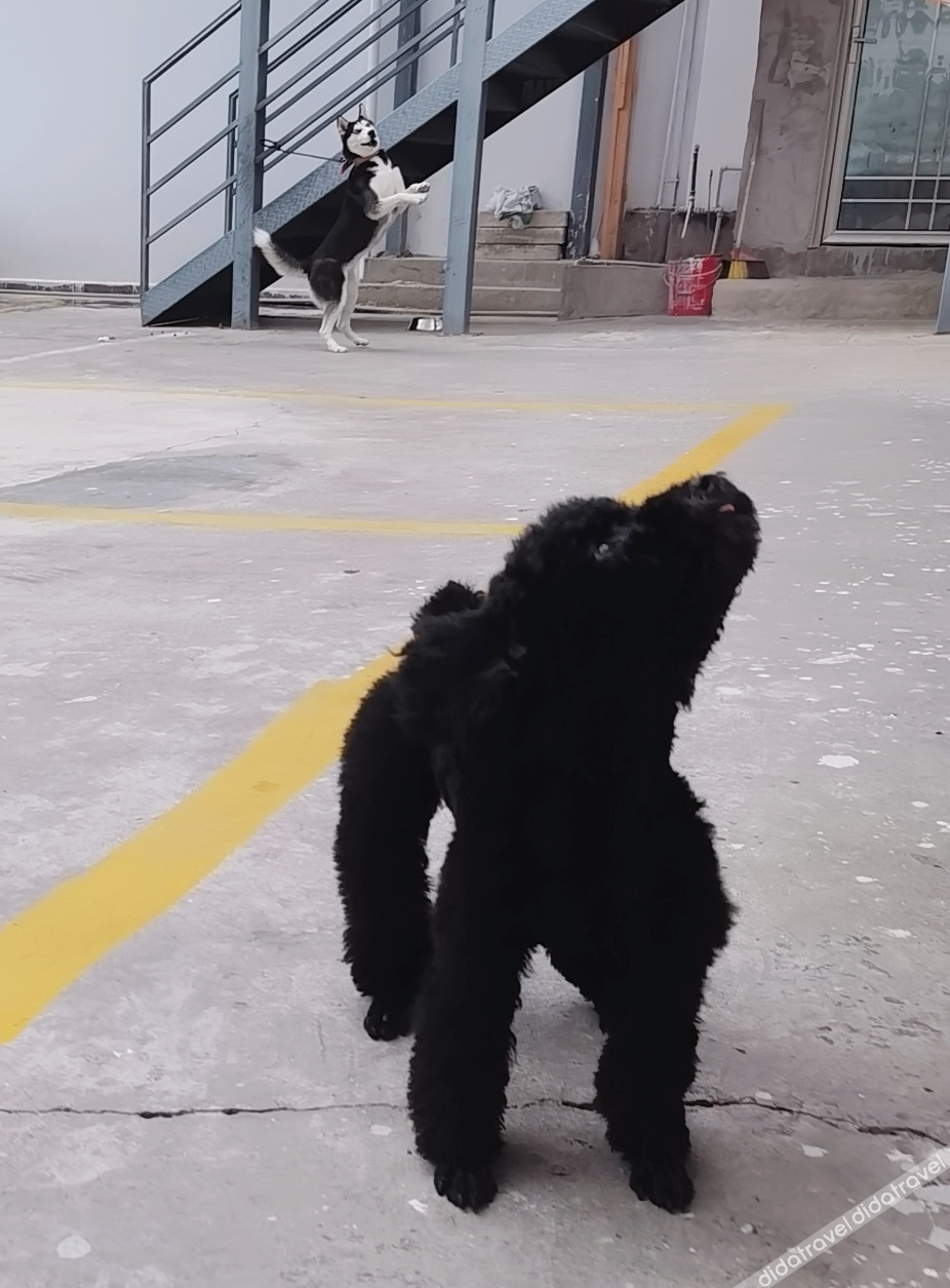Manhui hotel 3*