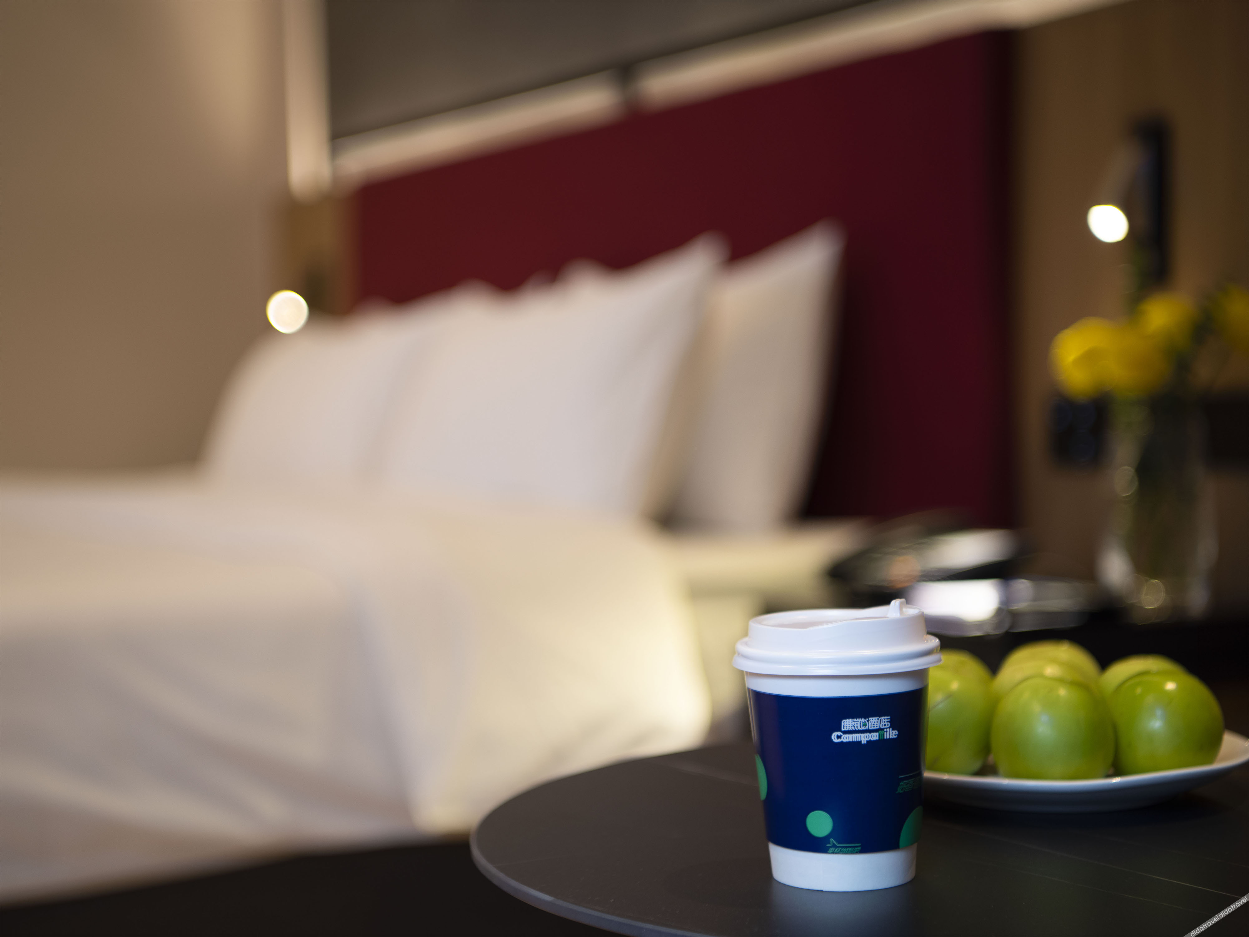 Campanile Hotel (Shenzhen Guanlan Golf Store) 3*